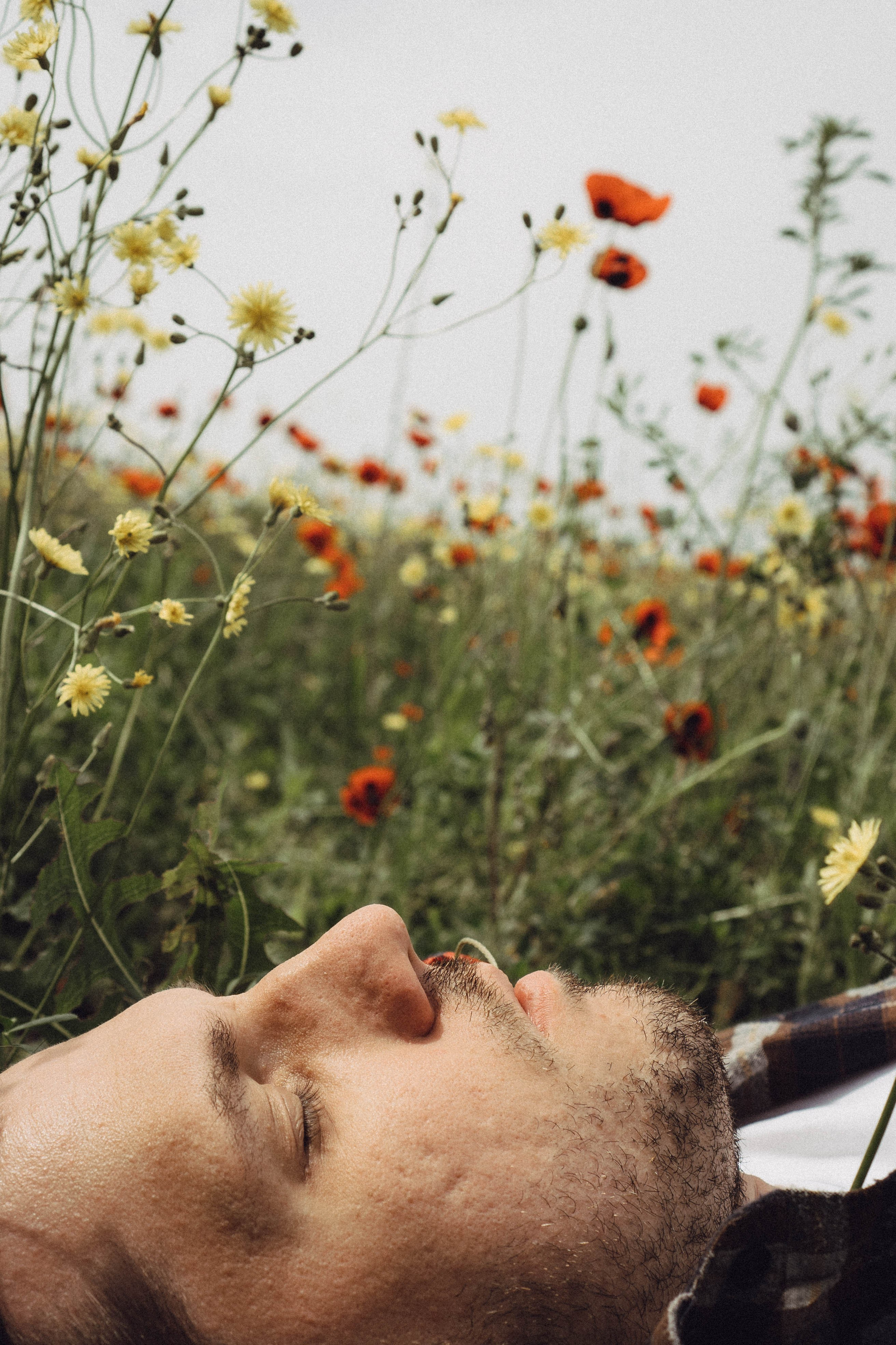 Маки. Профессиональный фотограф, Санкт-Петербург — Виктория Богомолова