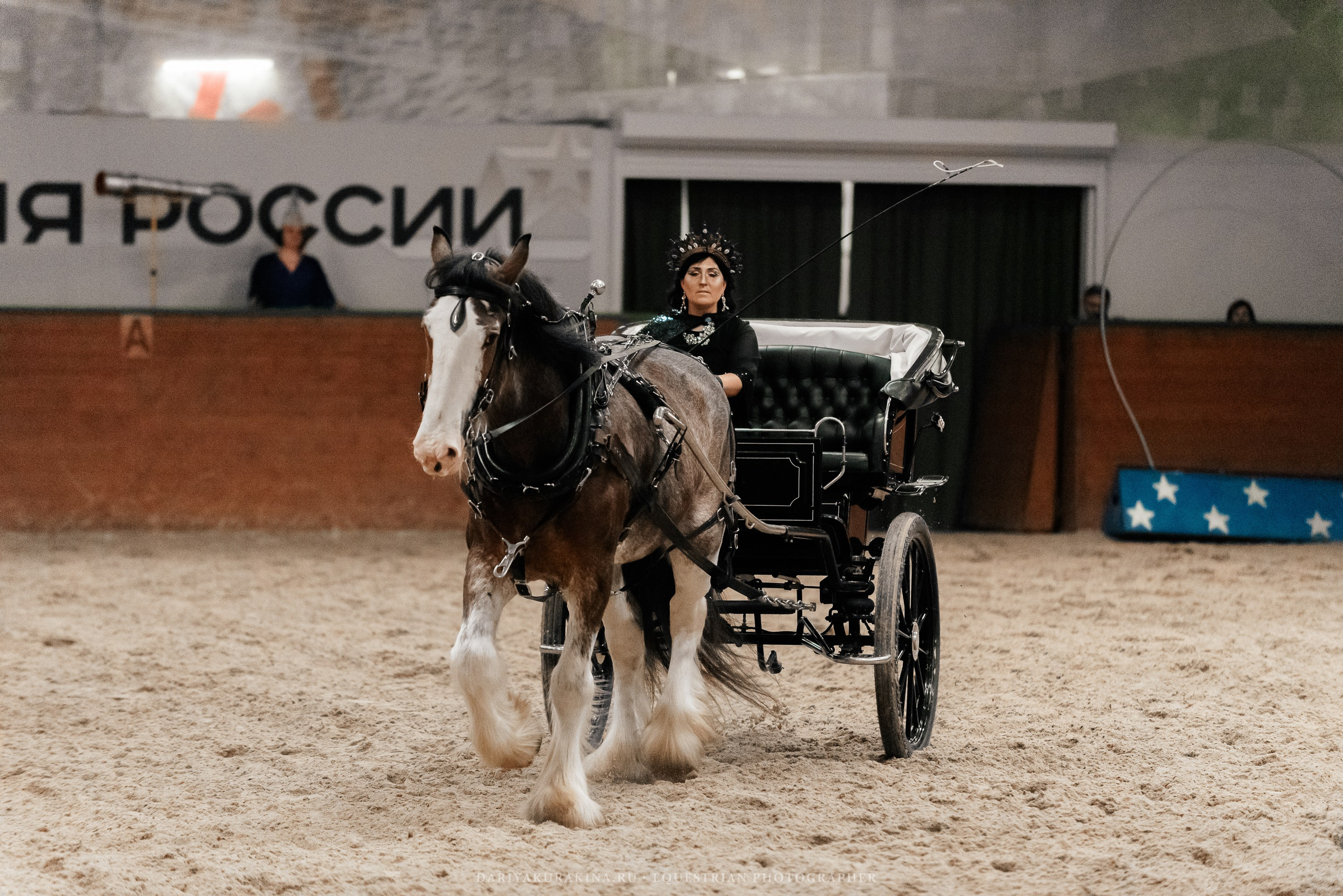 Конное представление «Дыхание Звёзд». Конный фотограф Куракина Дарья • Фотосессии с лошадьми