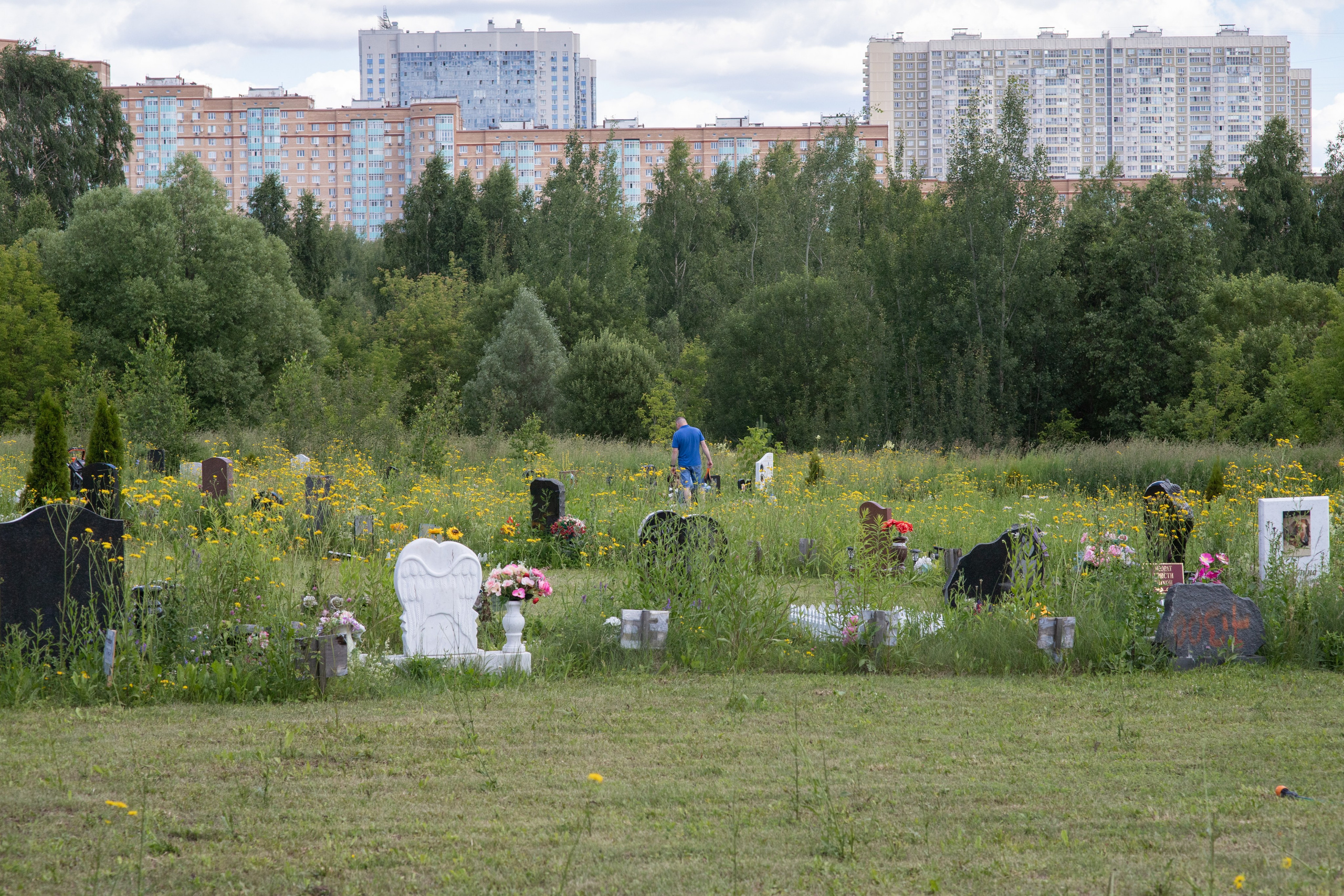 Пустота имеет место. Главная