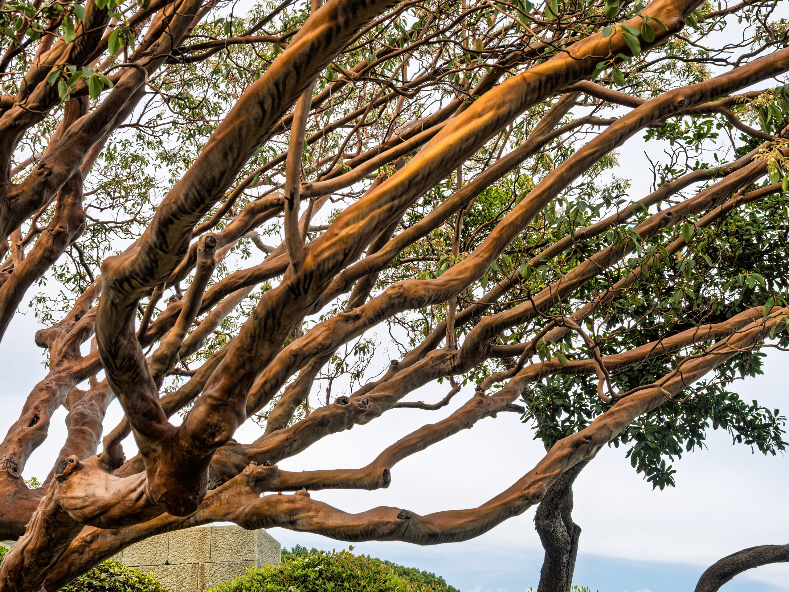 Крым, Утес, 2021 год. Фотограф Никифоров-Гордеев Сергей. Москва и МО