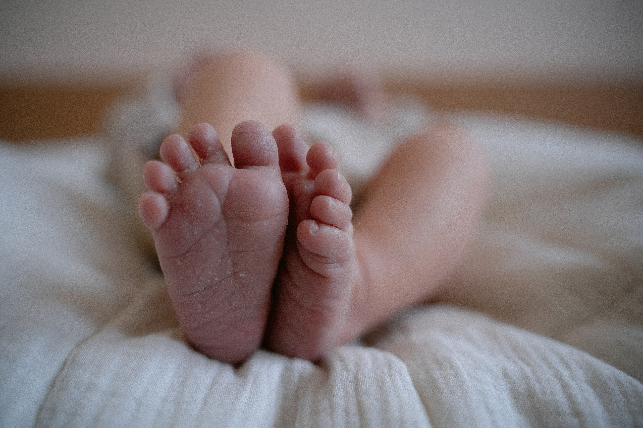 ПОДАРОЧНЫЙ СЕРТИФИКАТ. Фотографы на роды в Москве. Фото и видео родов. Фотопроект «Продолжение рода»