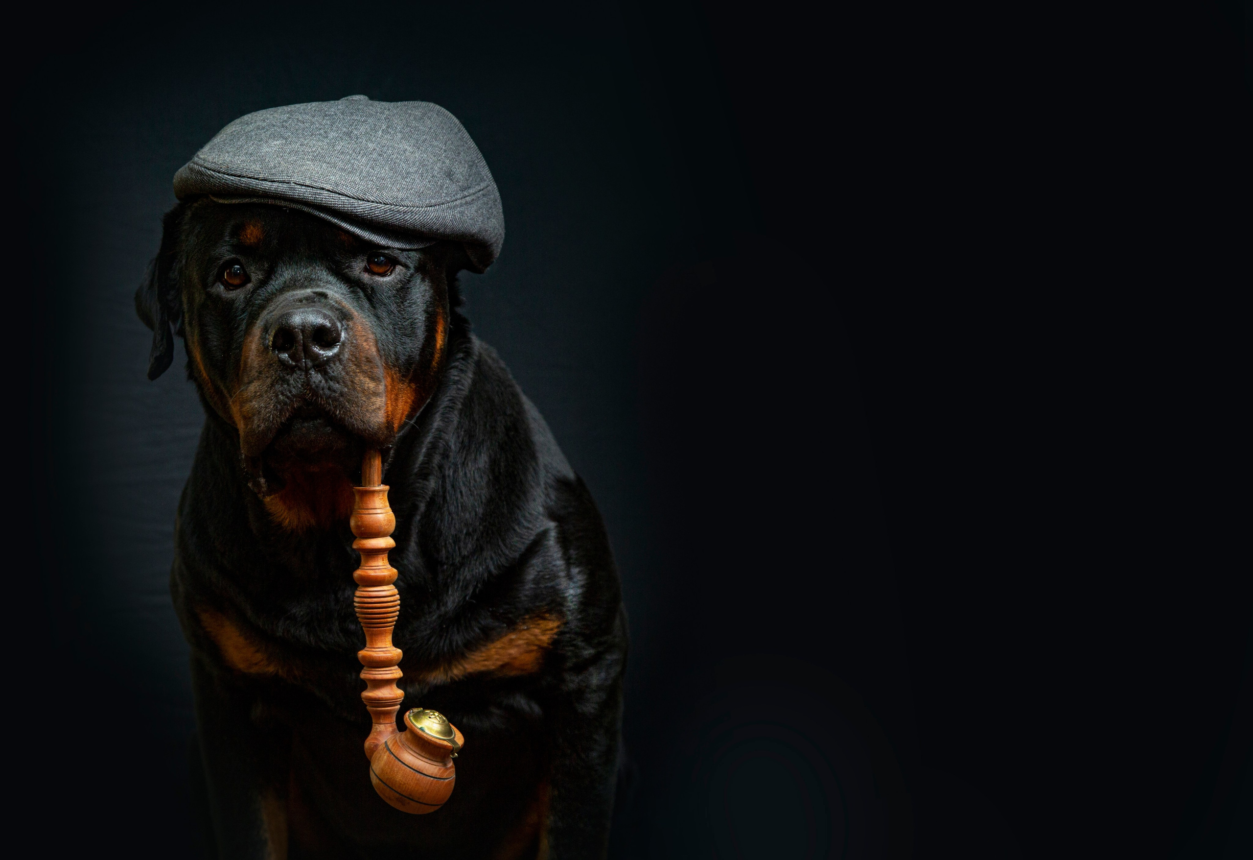 Животные. Авторские туры с профессиональным фотографом