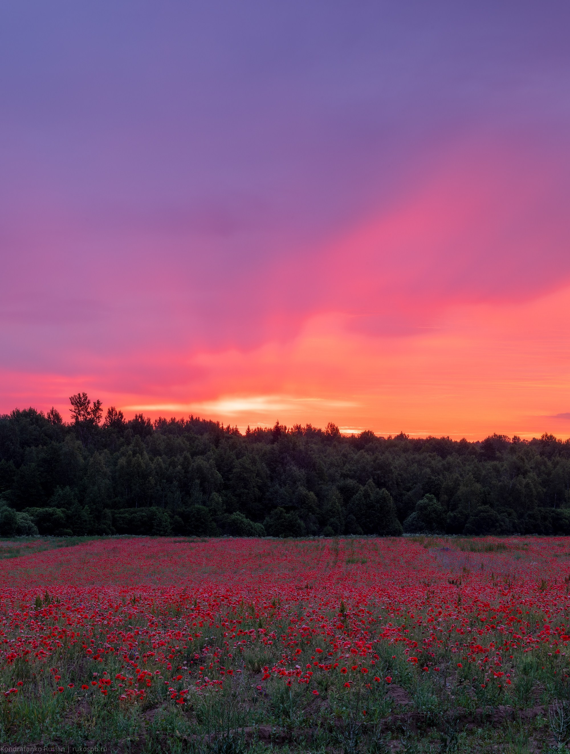 Псковская область. Архитектурный и пейзажный фотограф Кондратенко Руслан, Санкт-Петербург
