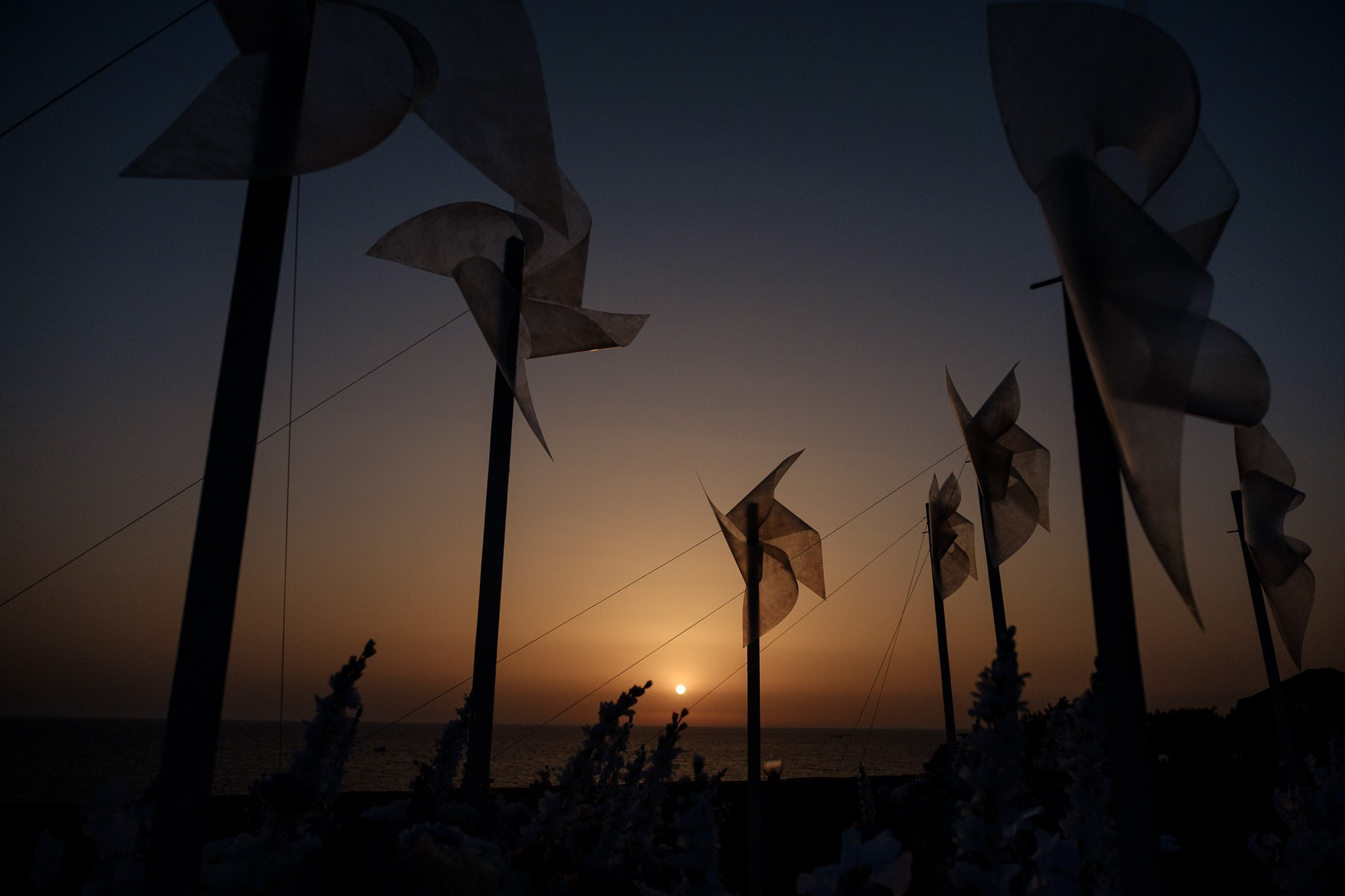 Свадьба в Крыму. Свадебный и семейный фотограф