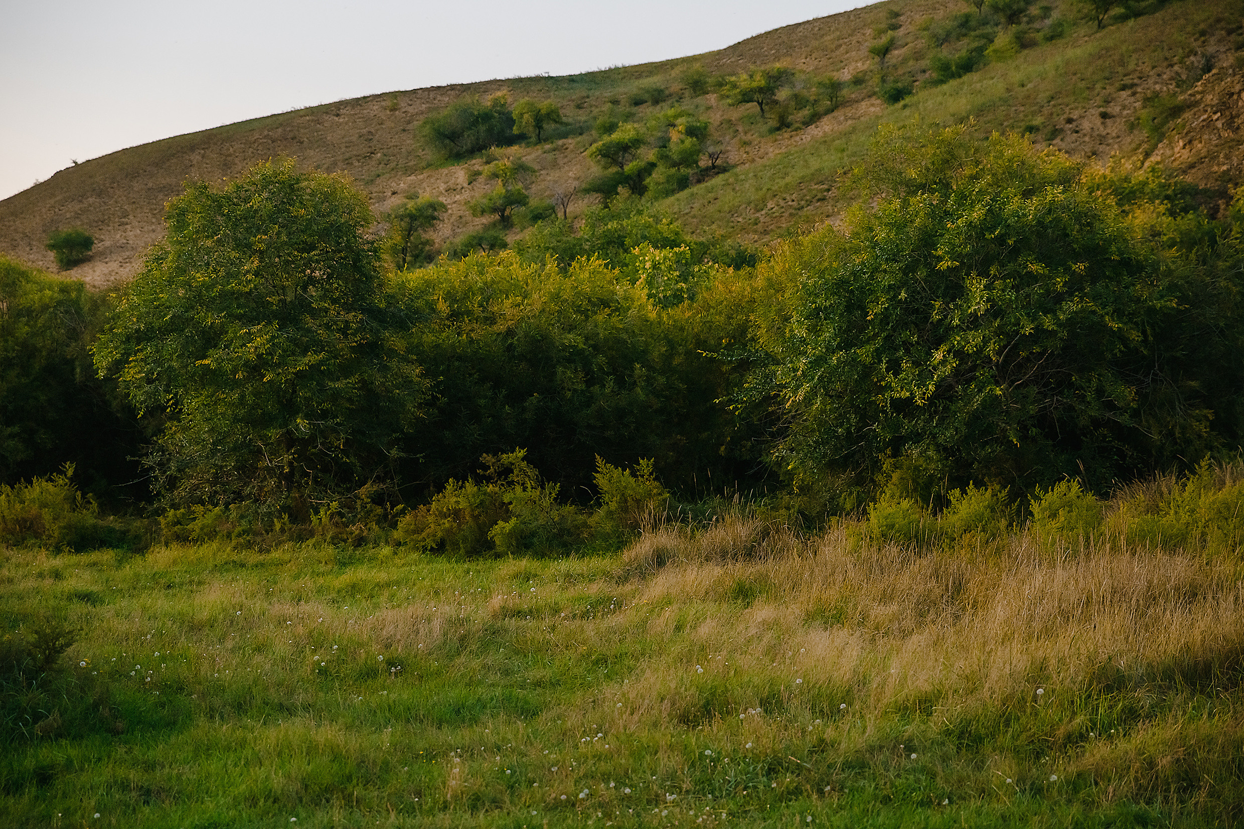 Локации в пригороде Улан-Удэ. Фотограф и видеограф в Улан-Удэ: Аюна Габагуева и Артём Шаханов