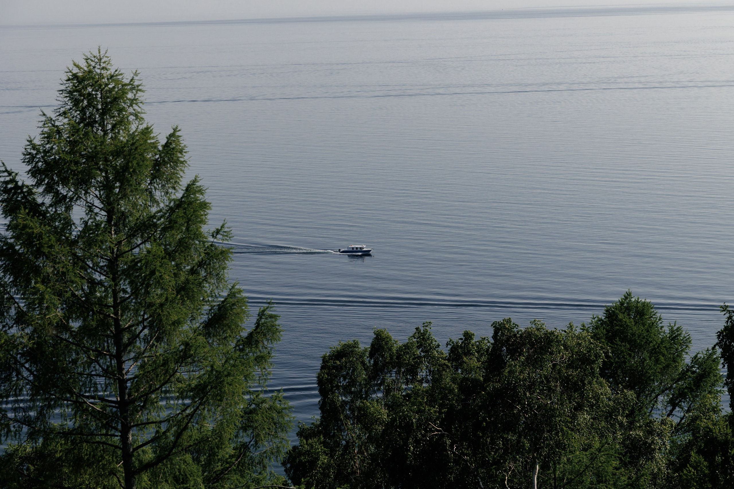 Свадьбы. Свадебный фотограф