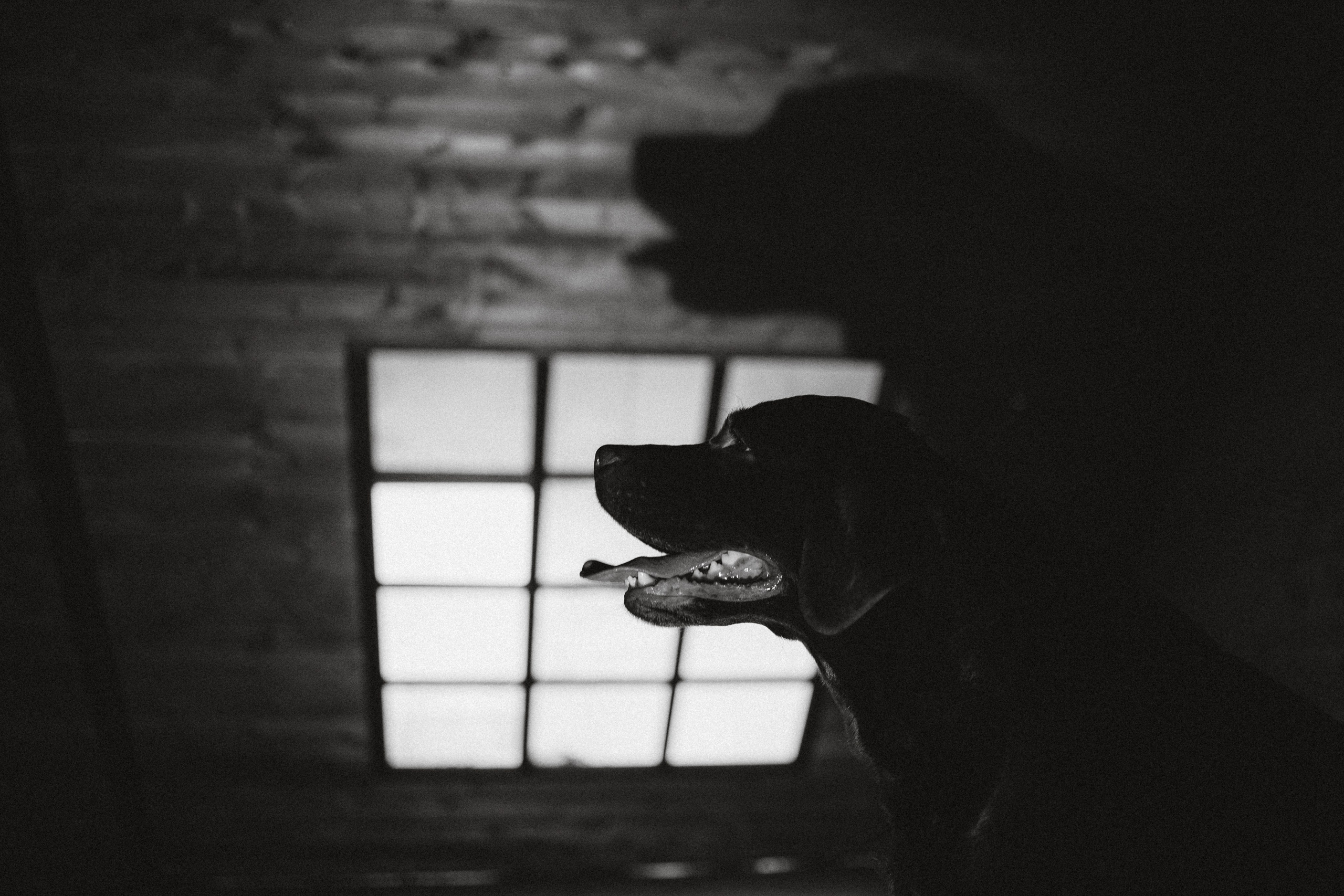 Ума, Берта и их семья