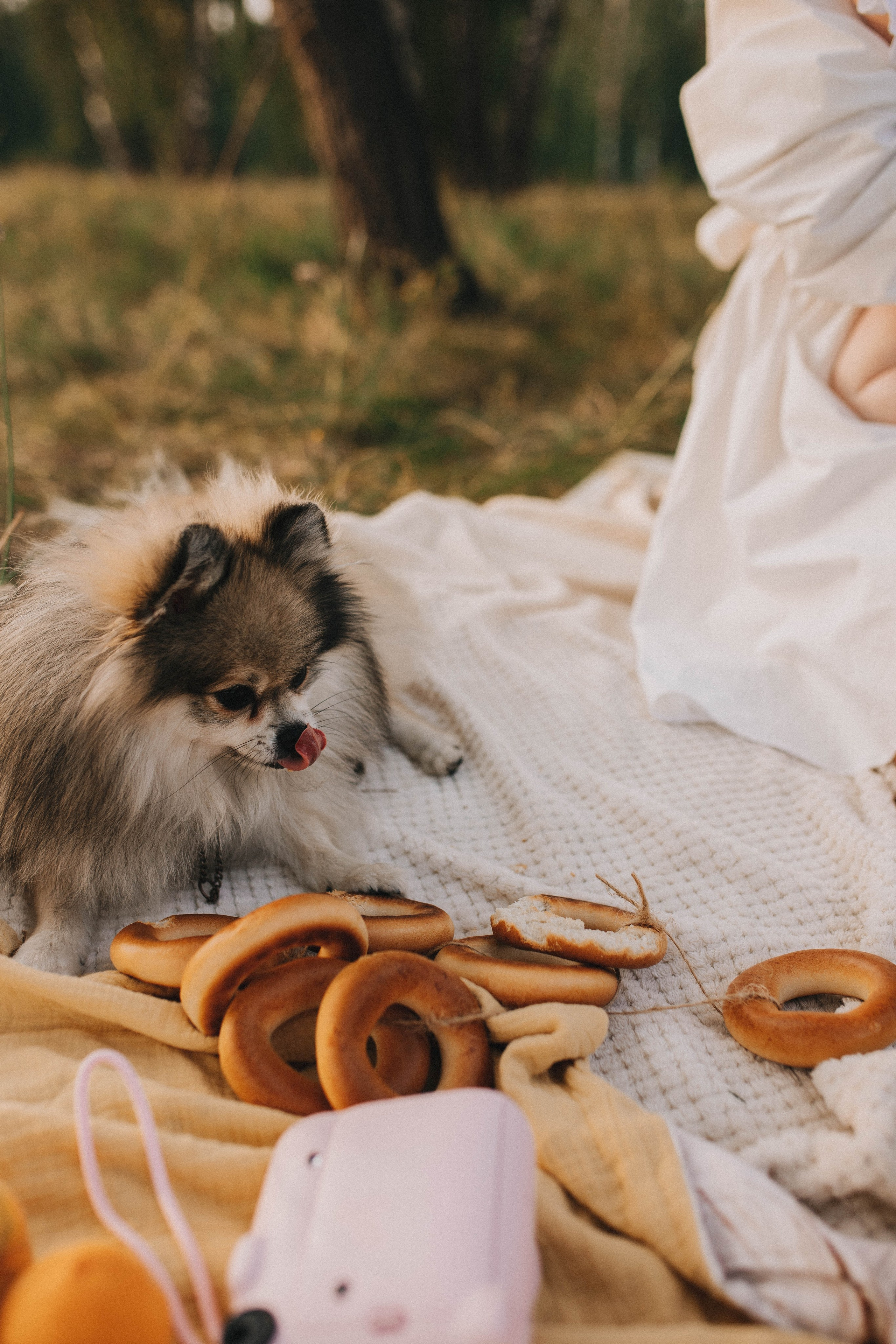 Семейный вечер в деревне. Свадебный фотограф Новосибирск