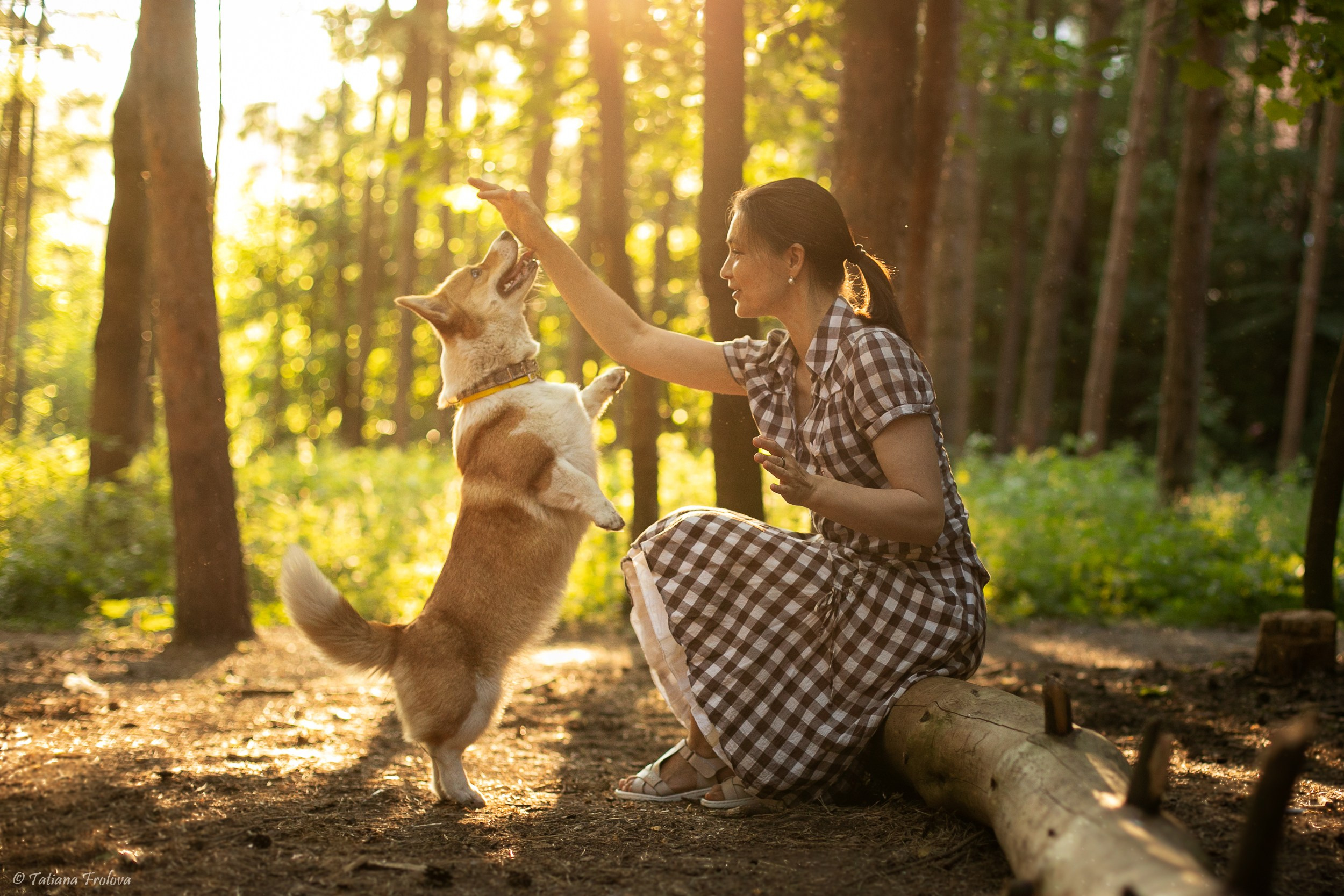 Фотографии собаки с хозяйкой в парке летним вечером. Фотограф-анималист в Москве и Московской области Татьяна Фролова