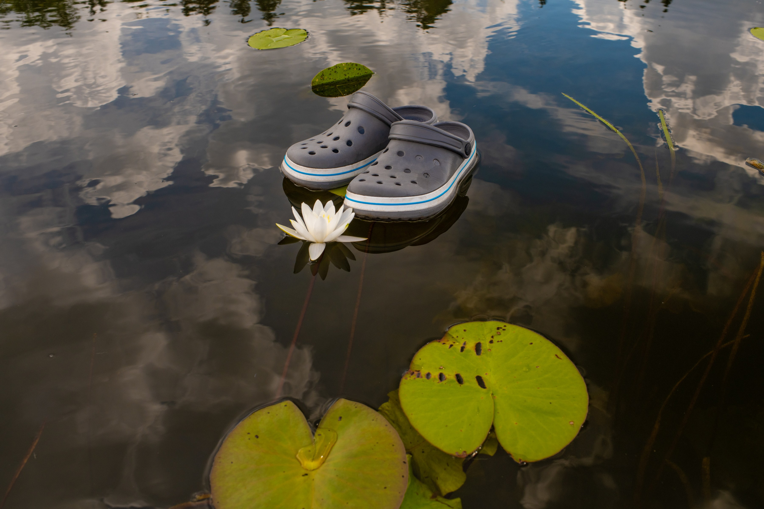 The Expiration Date. ALEXEY KRYLOV | Photography