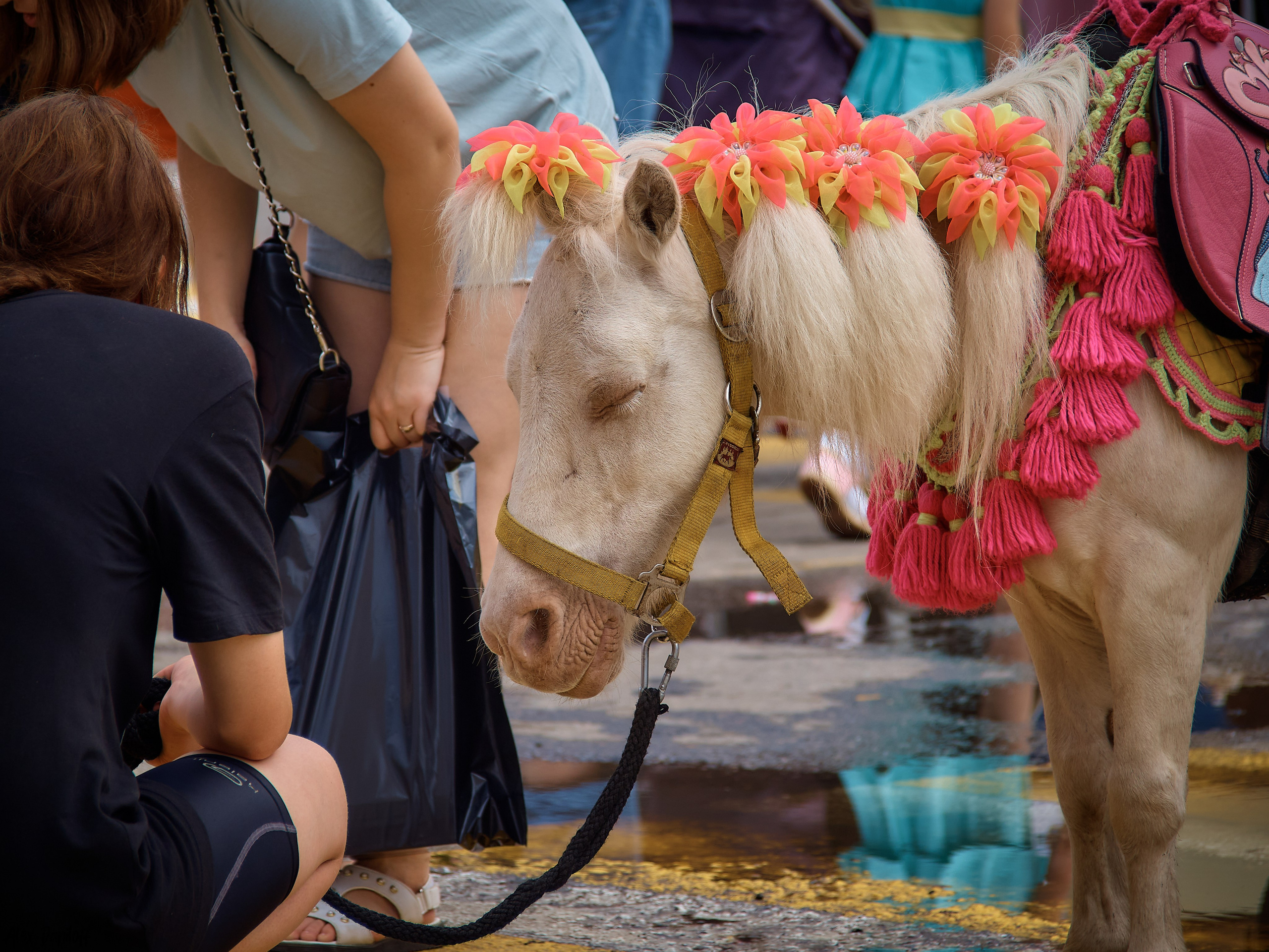День семьи, любви и верности 2023. Муром-Инфо. Новости культуры, образования, спорта в городе Муром