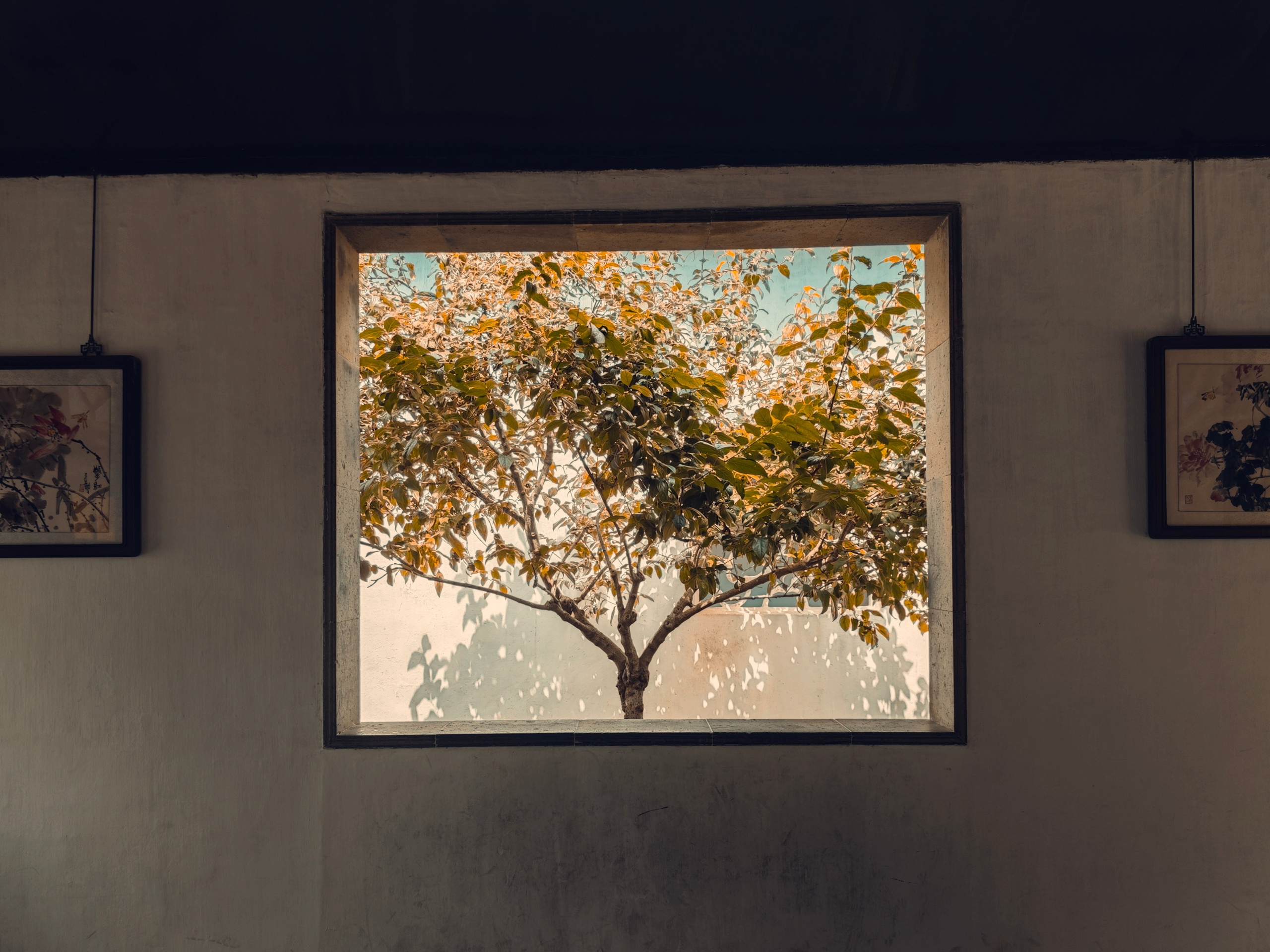 The Great Journey to China. Brjankin.com