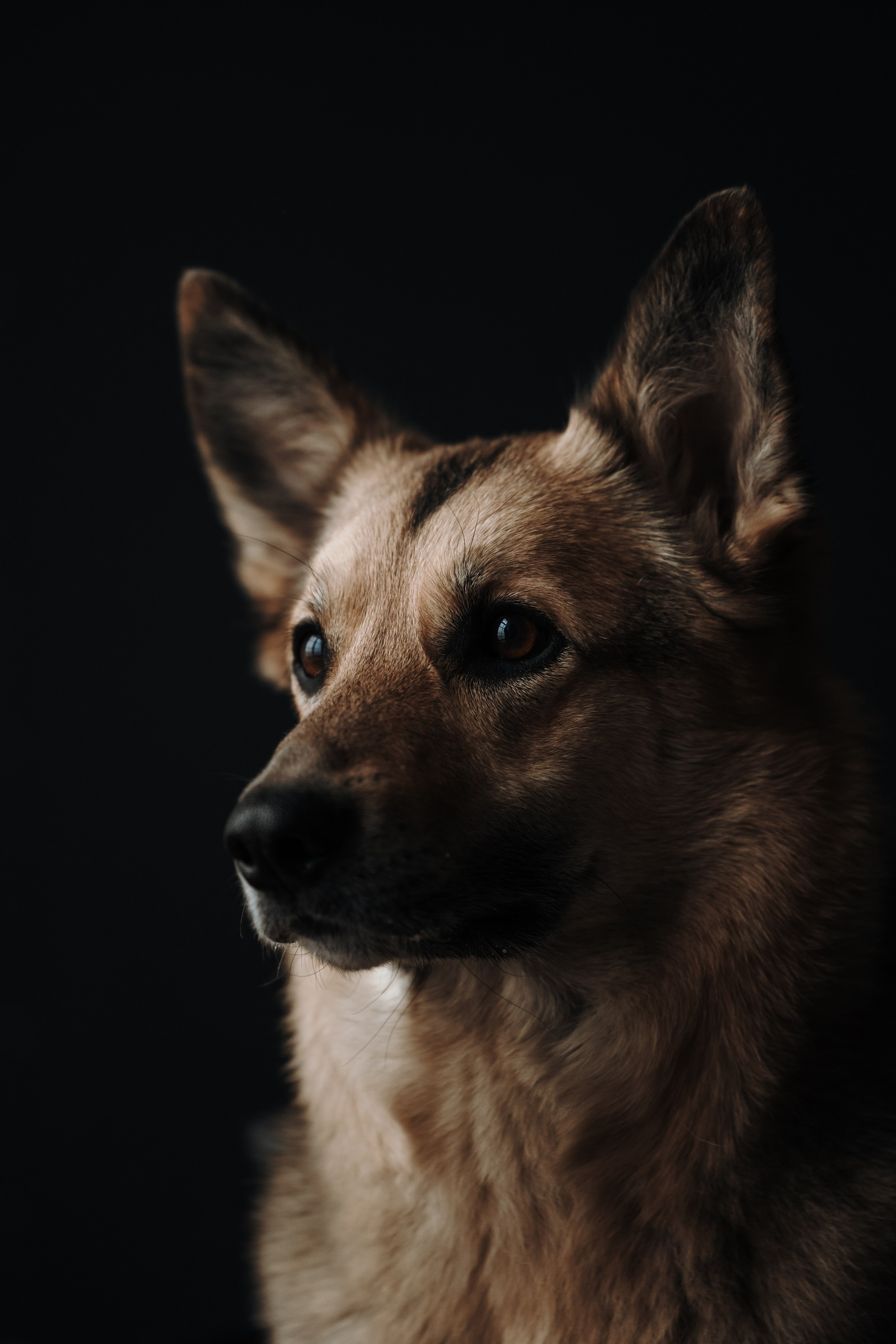 Лена и Дёма. Фотограф — Анималист | Санкт-Петербург