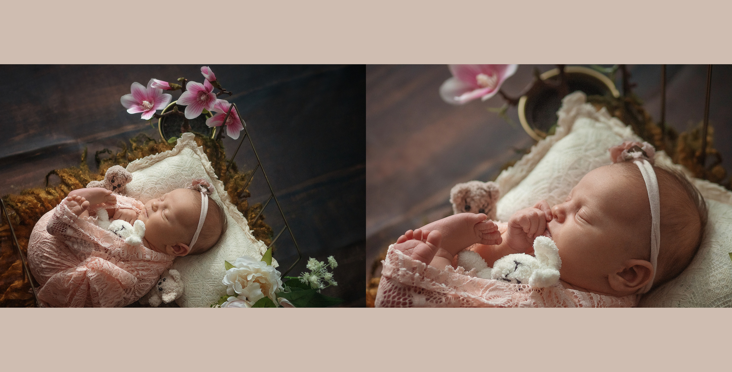 Арина книга. Алёна Орлова Портретный фотограф Москва