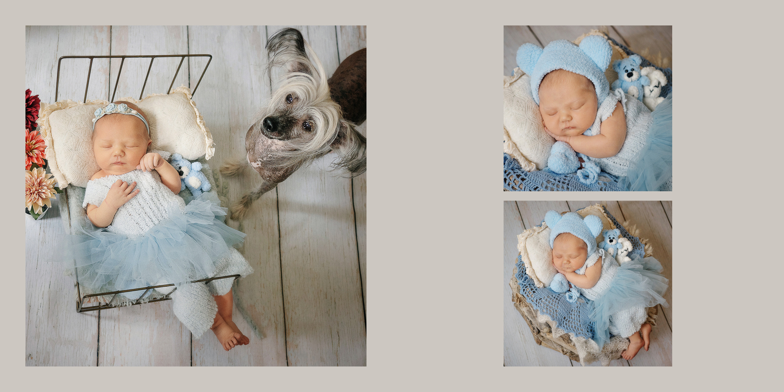 Верстка. Алёна Орлова Портретный фотограф Москва