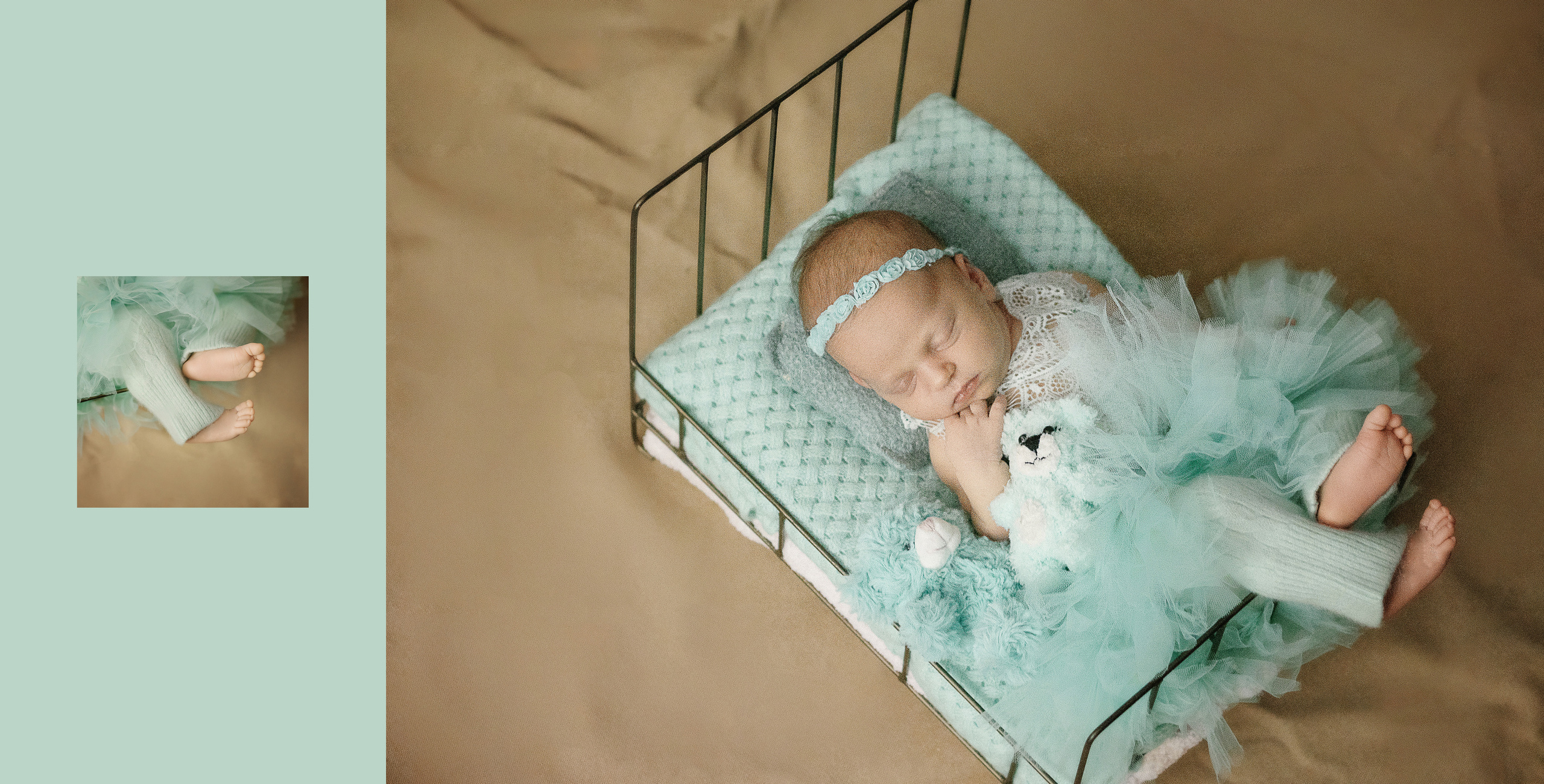 Арина книга. Алёна Орлова Портретный фотограф Москва