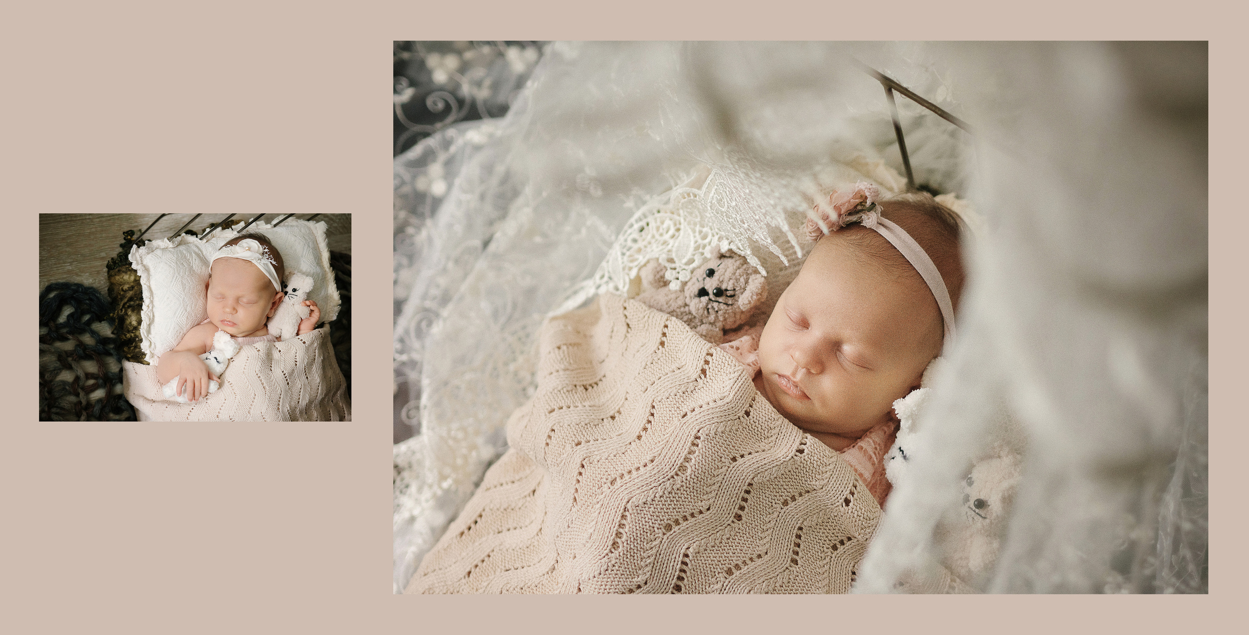 Арина книга. Алёна Орлова Портретный фотограф Москва