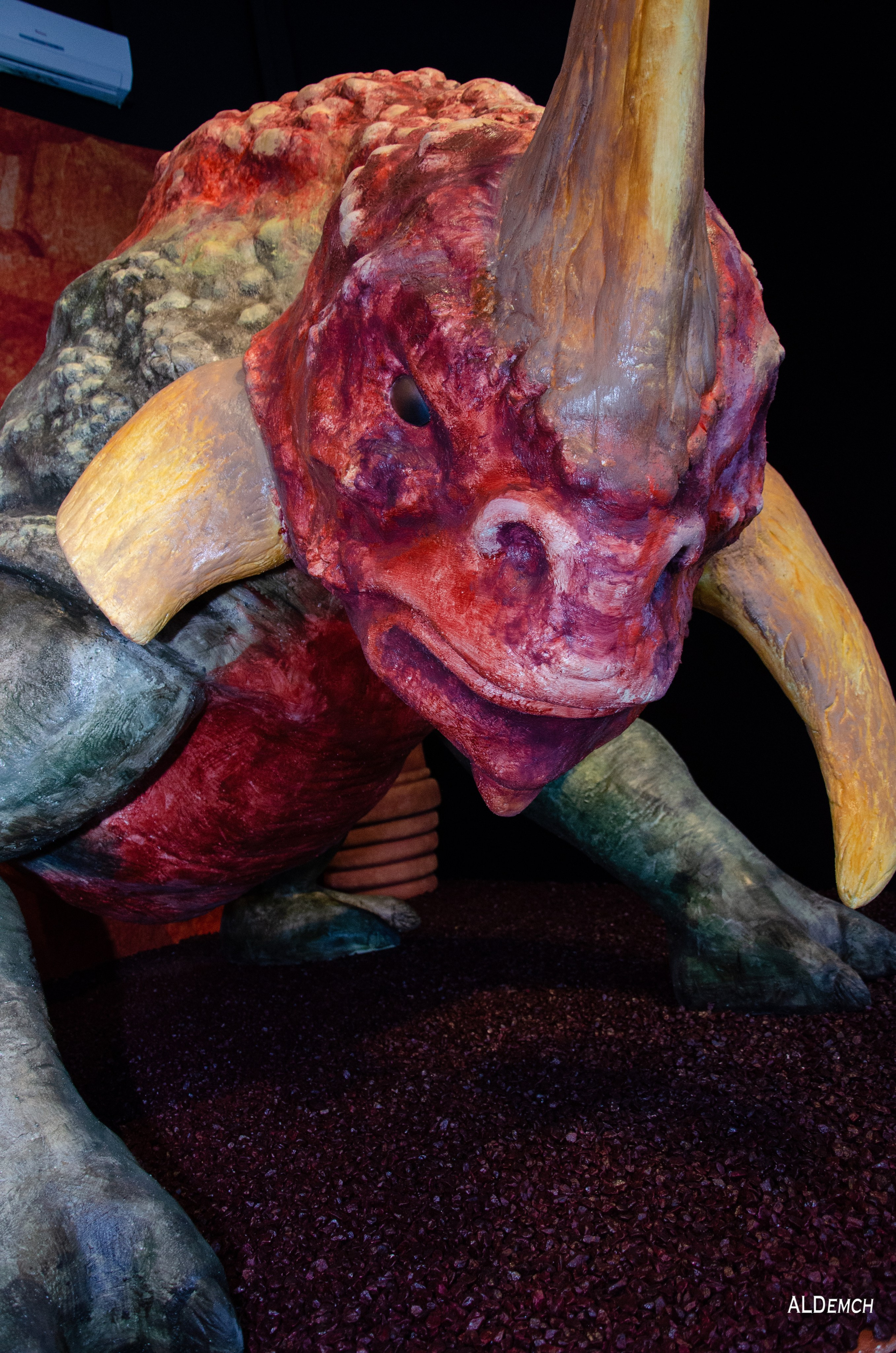 Фотосессия на ВДНХ косплей выставки по звёздным войнам