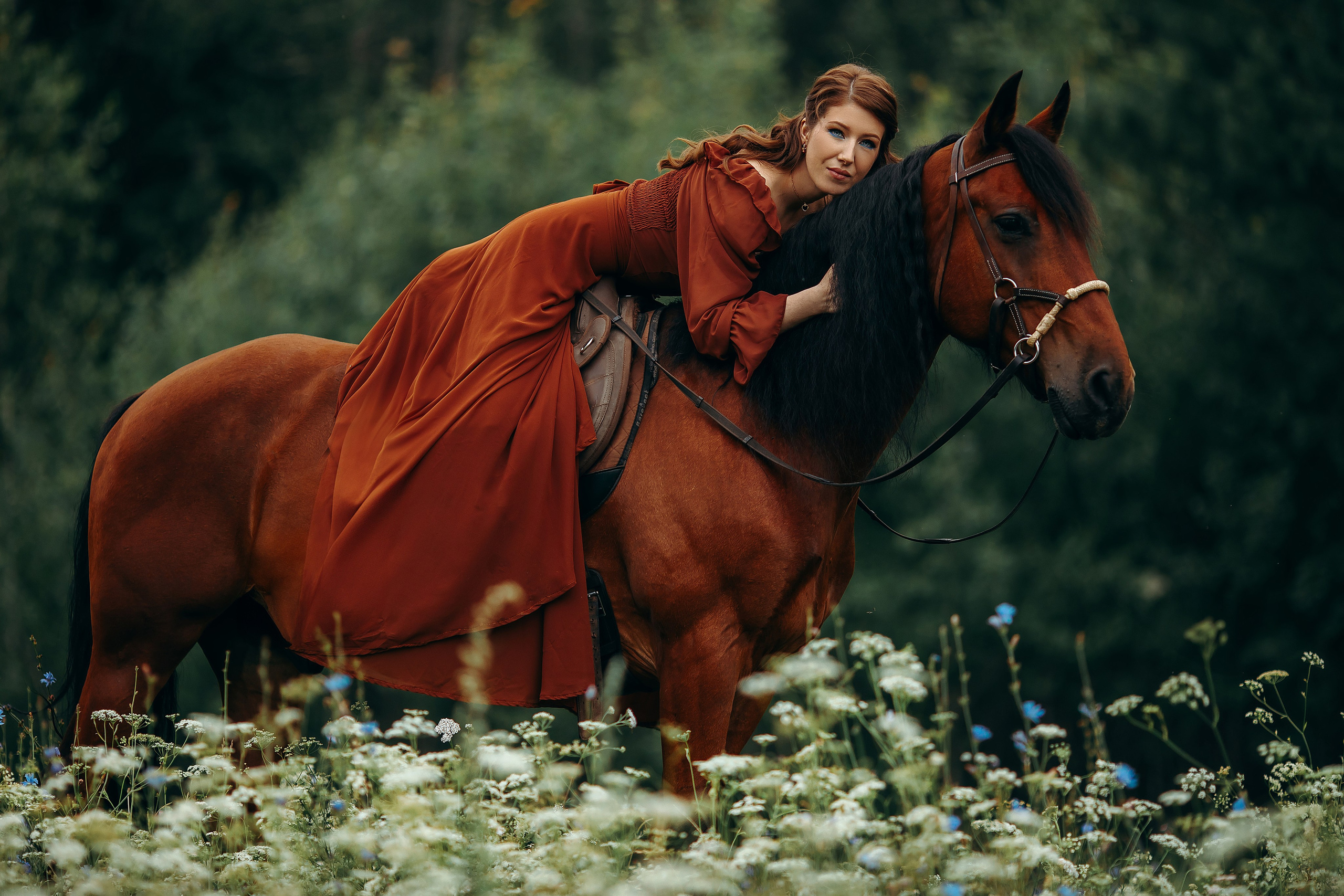 Елена и Талисман. Анна Молчанова конный фотограф в Тюмени | фотосессии с лошадьми Тюмень