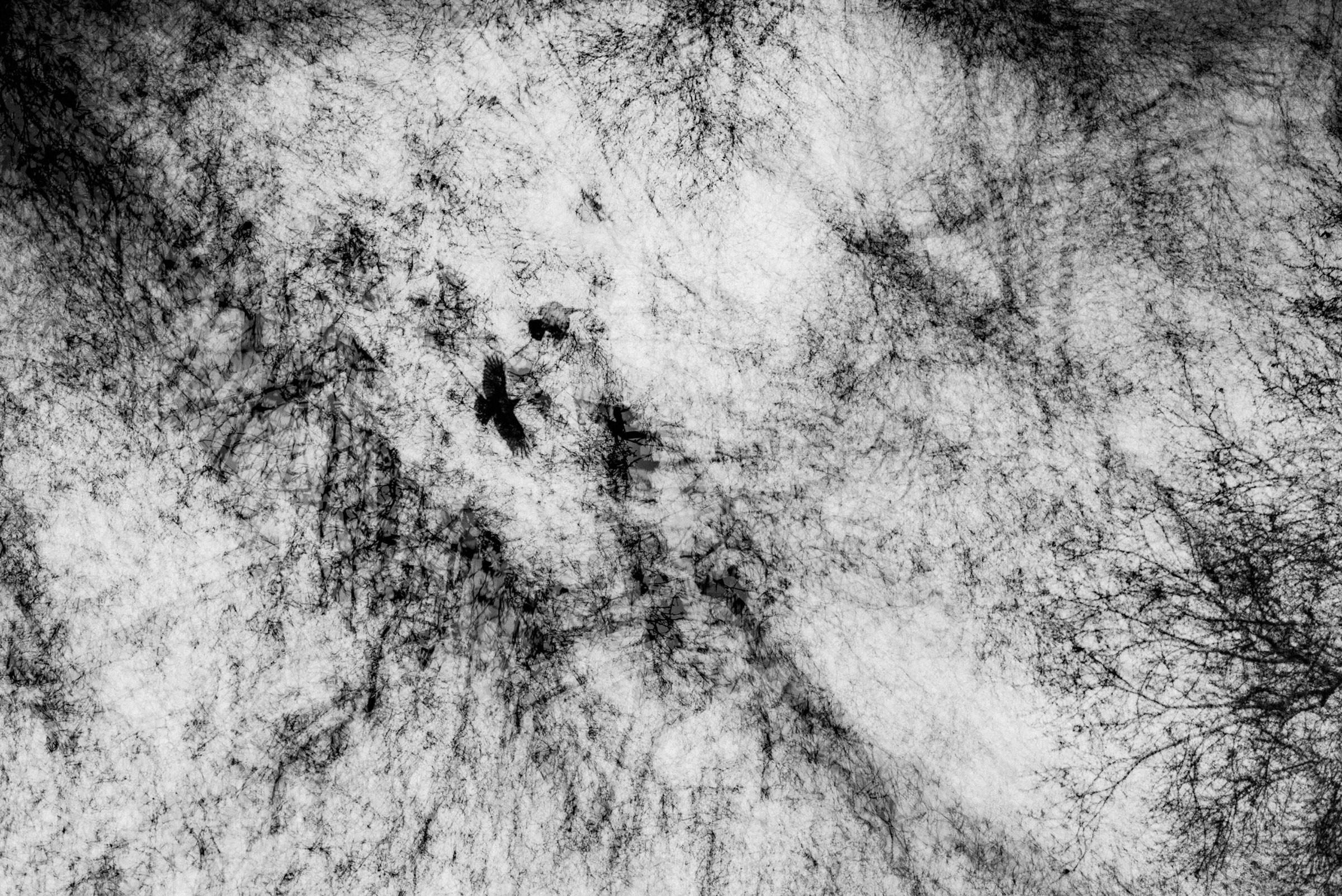 Фотограф Ден Батуев, Москва. Фото и видео. Обучение фотографии