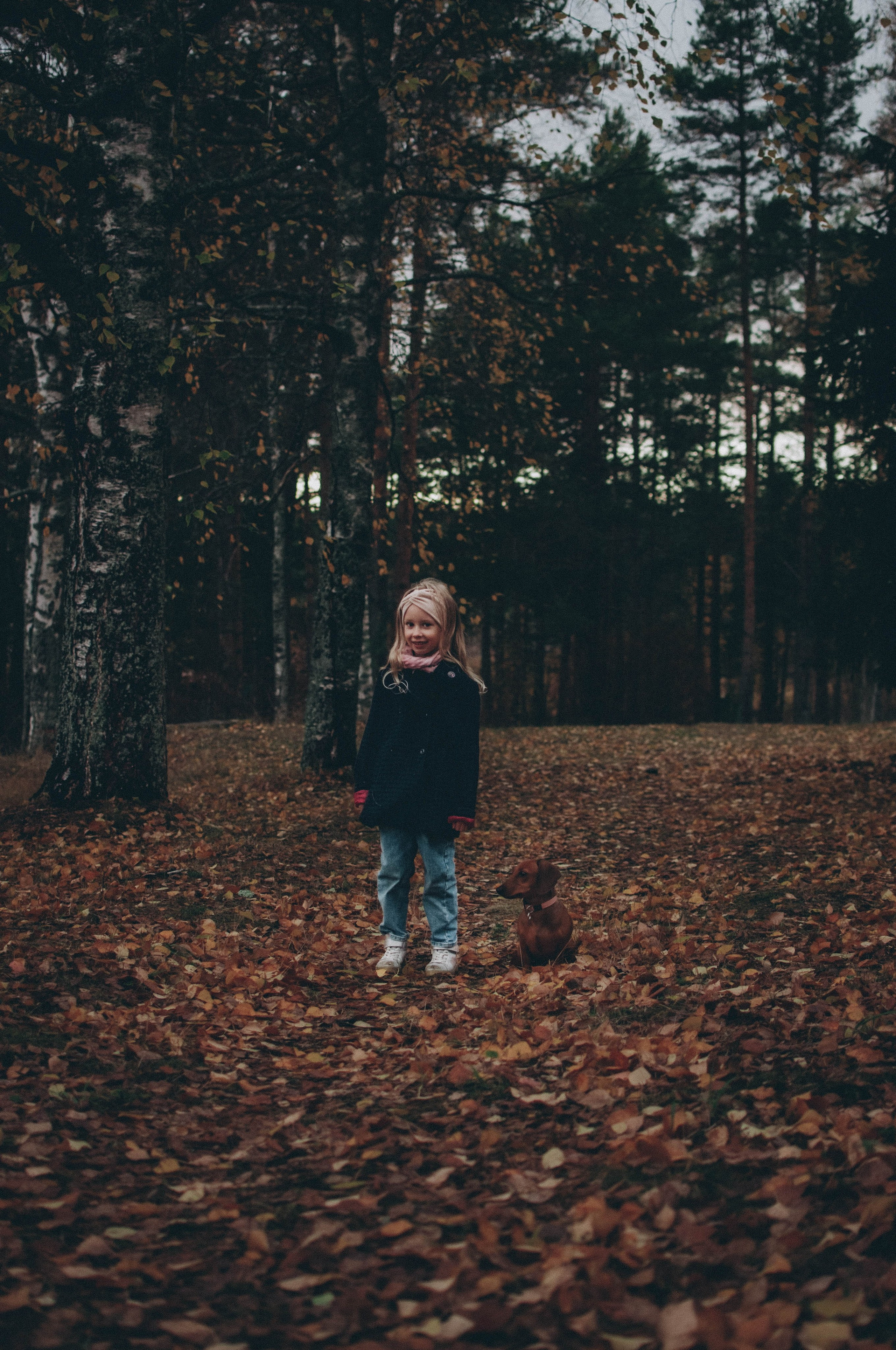 Осень у озера. Семейный фотограф из Петрозаводска, Карелия