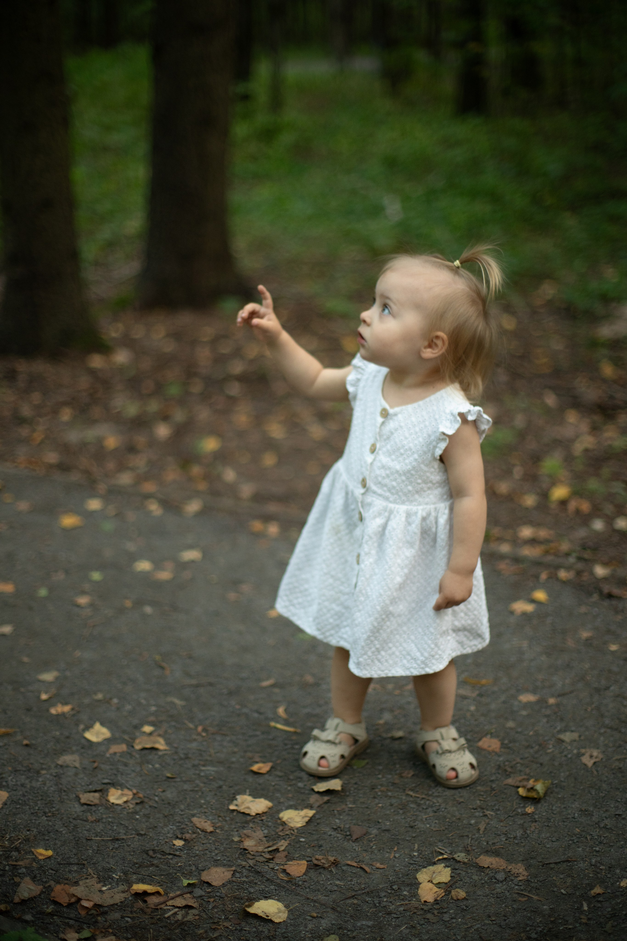 Семейная фотосессия. Ньюборн и семейный фотограф в Москве Светлана