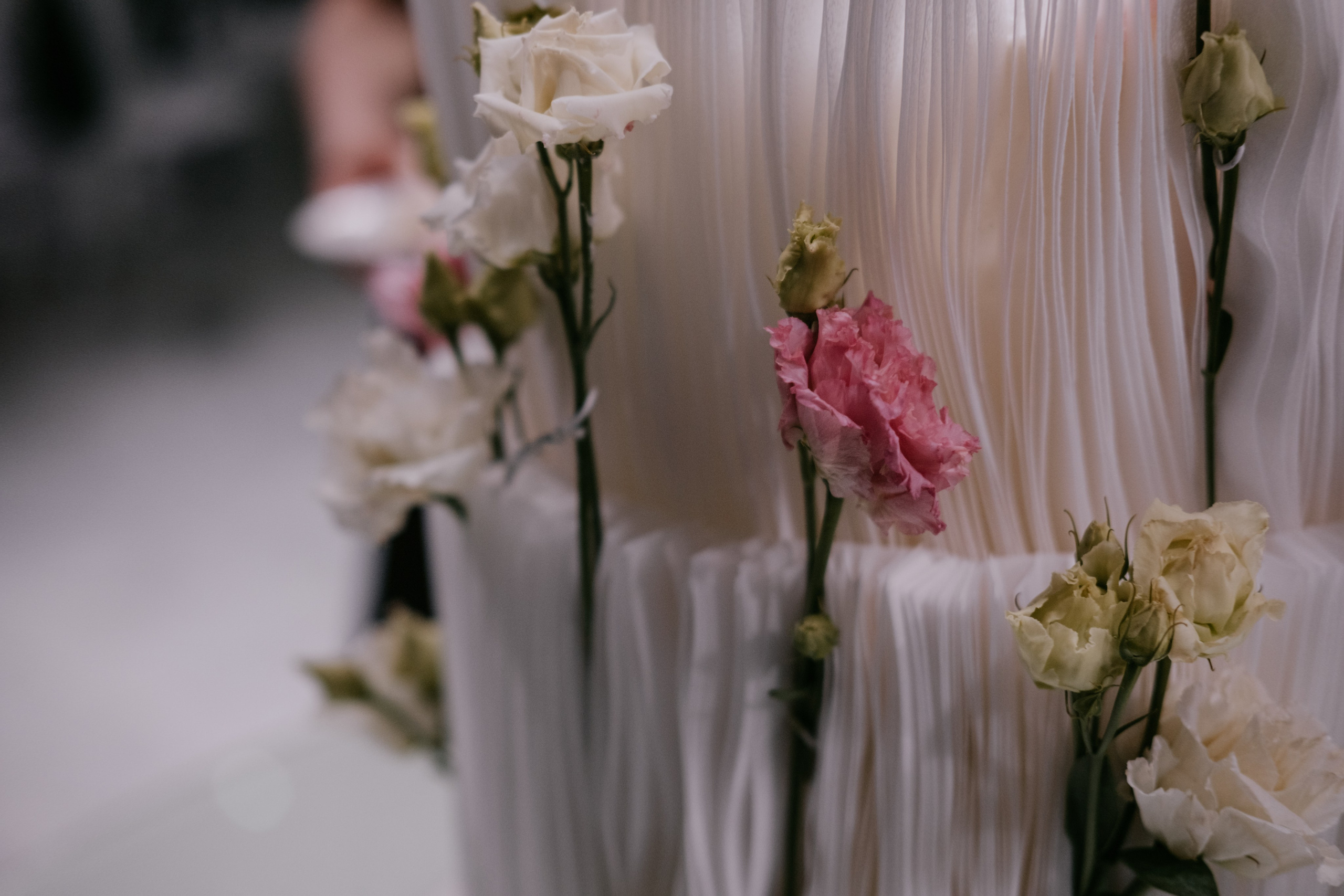 Виталий и Ксения. Фотограф в Астрахани Миронова Анастасия