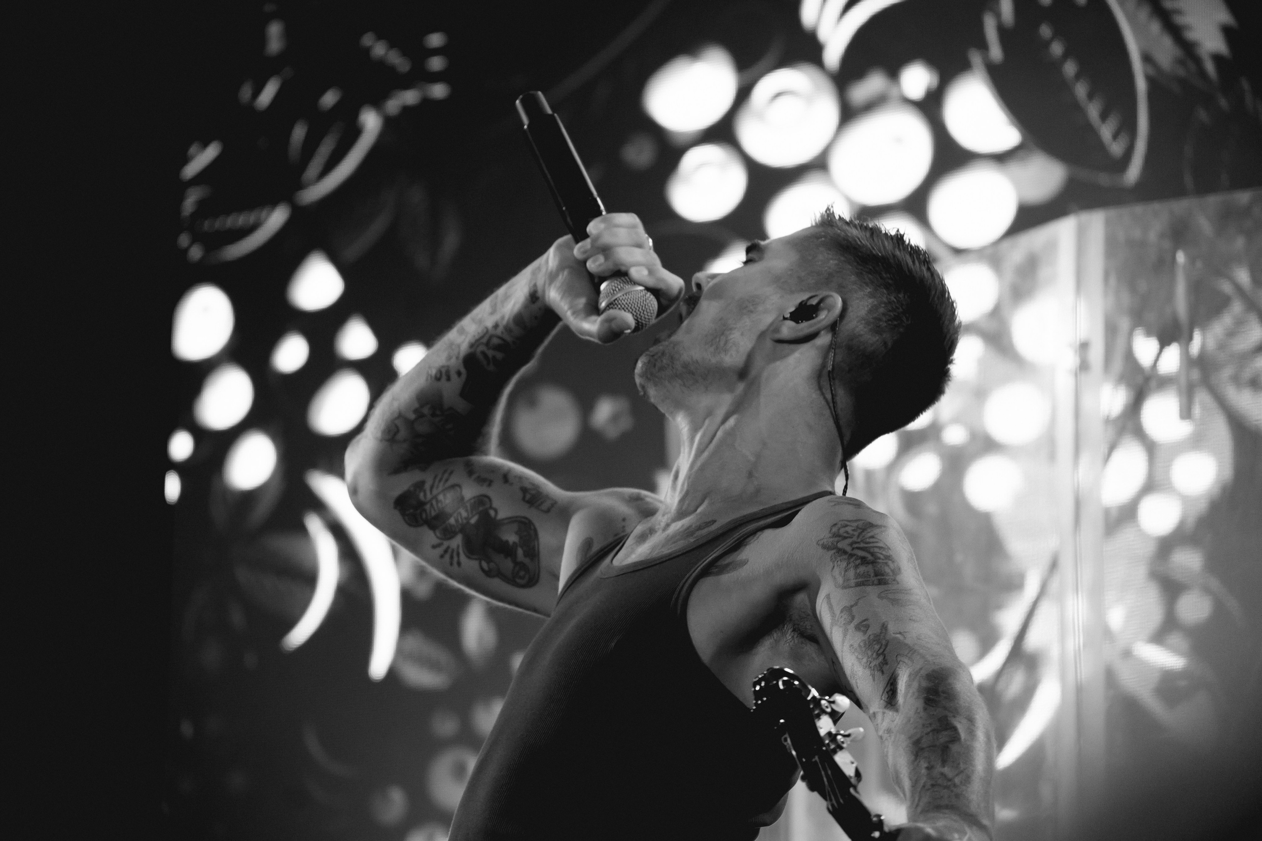 The Hatters \ ROOF LIVE \ 2024