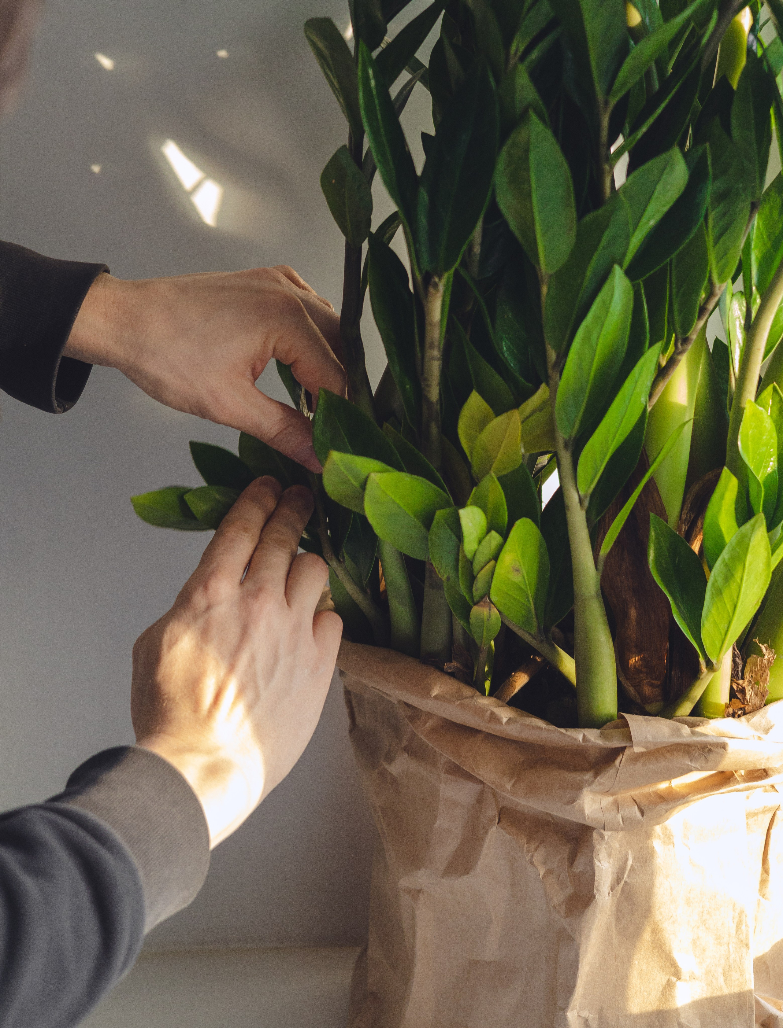 Предметная съемка для бизнеса. Фотограф в Санкт-Петербурге Осокина Елизавета
