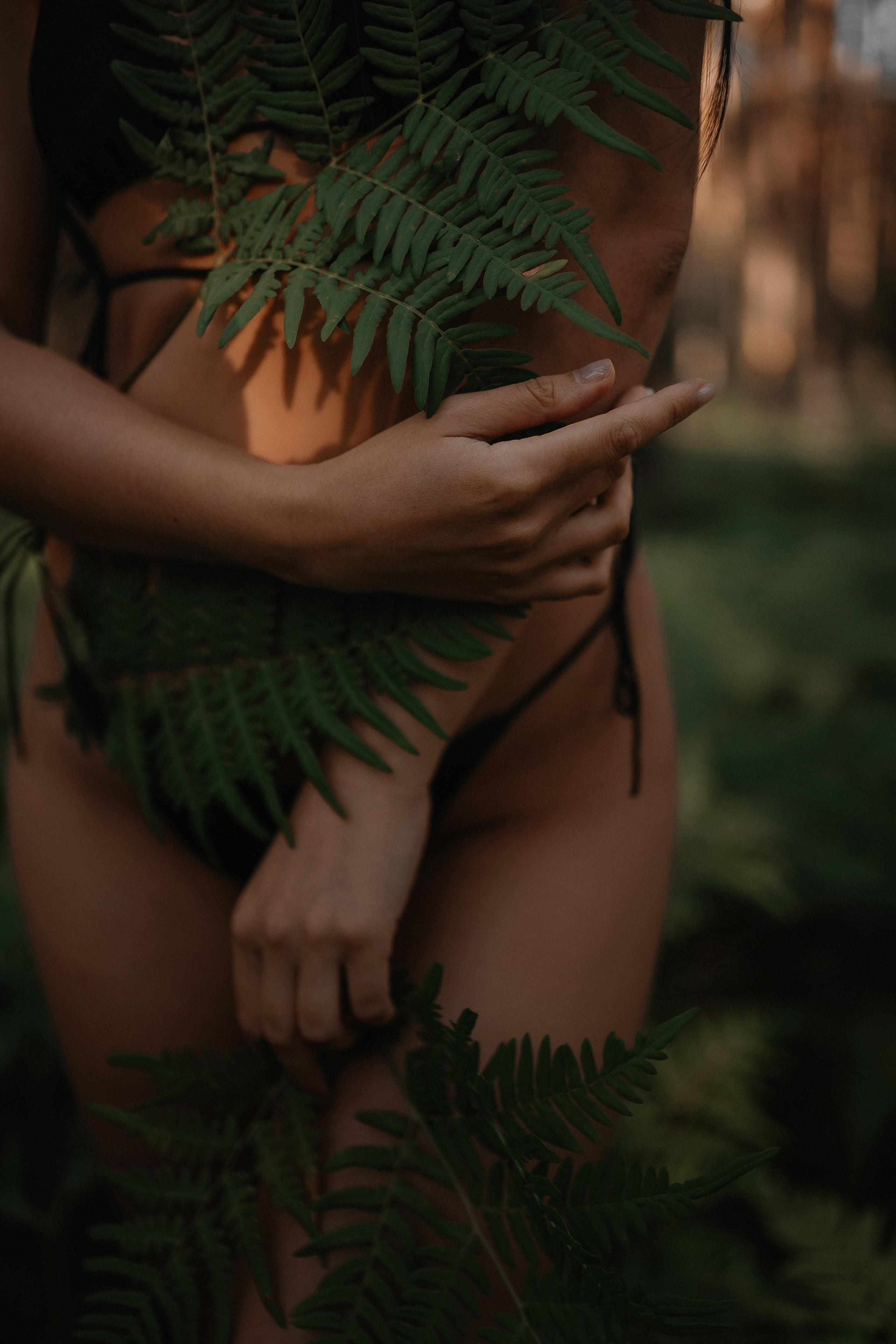 Папортник. Фотограф Алексей Кутырёв