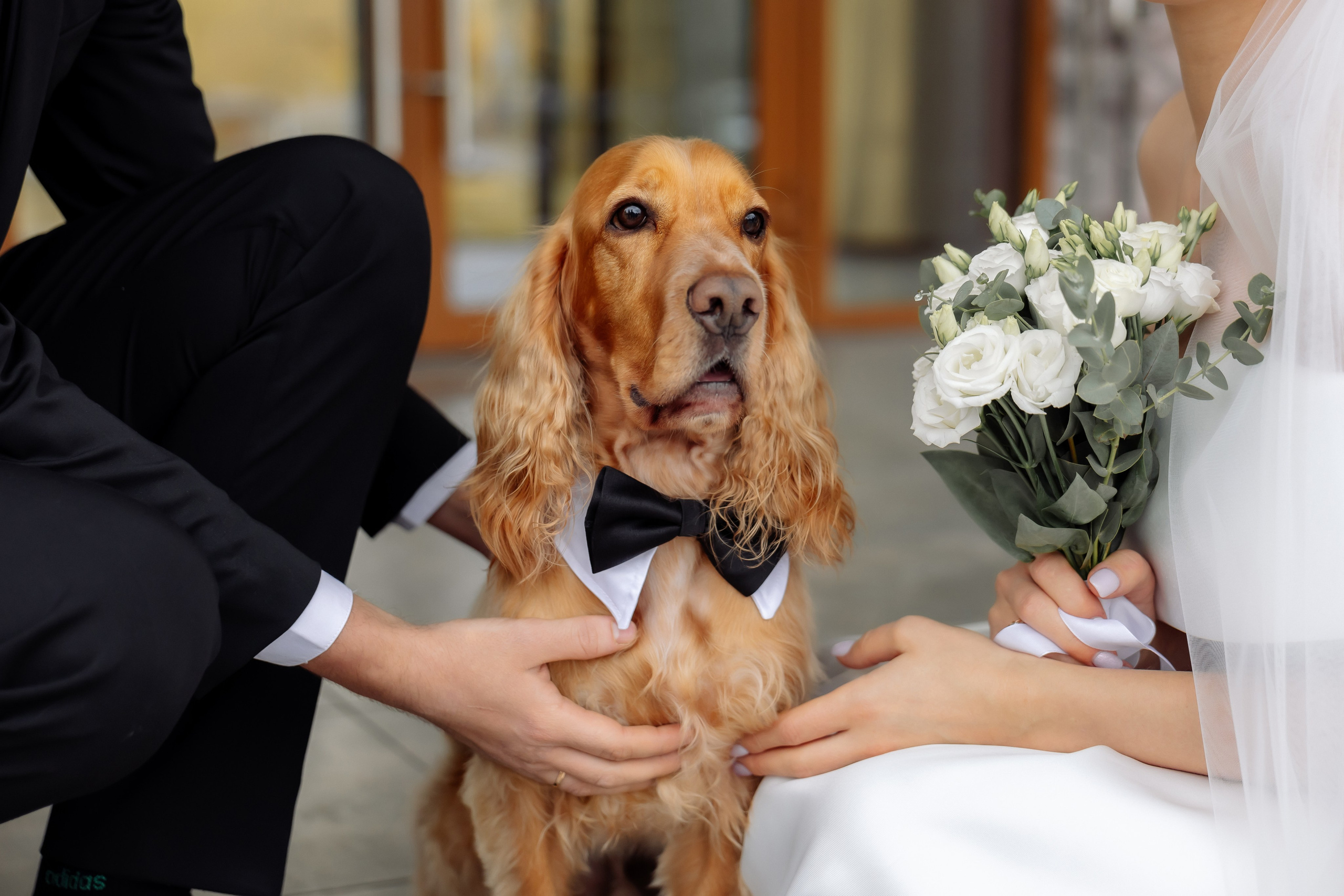 Фотосессия в ЗАГСе. Зотова Алена — семейный и женский фотограф в Зеленограде