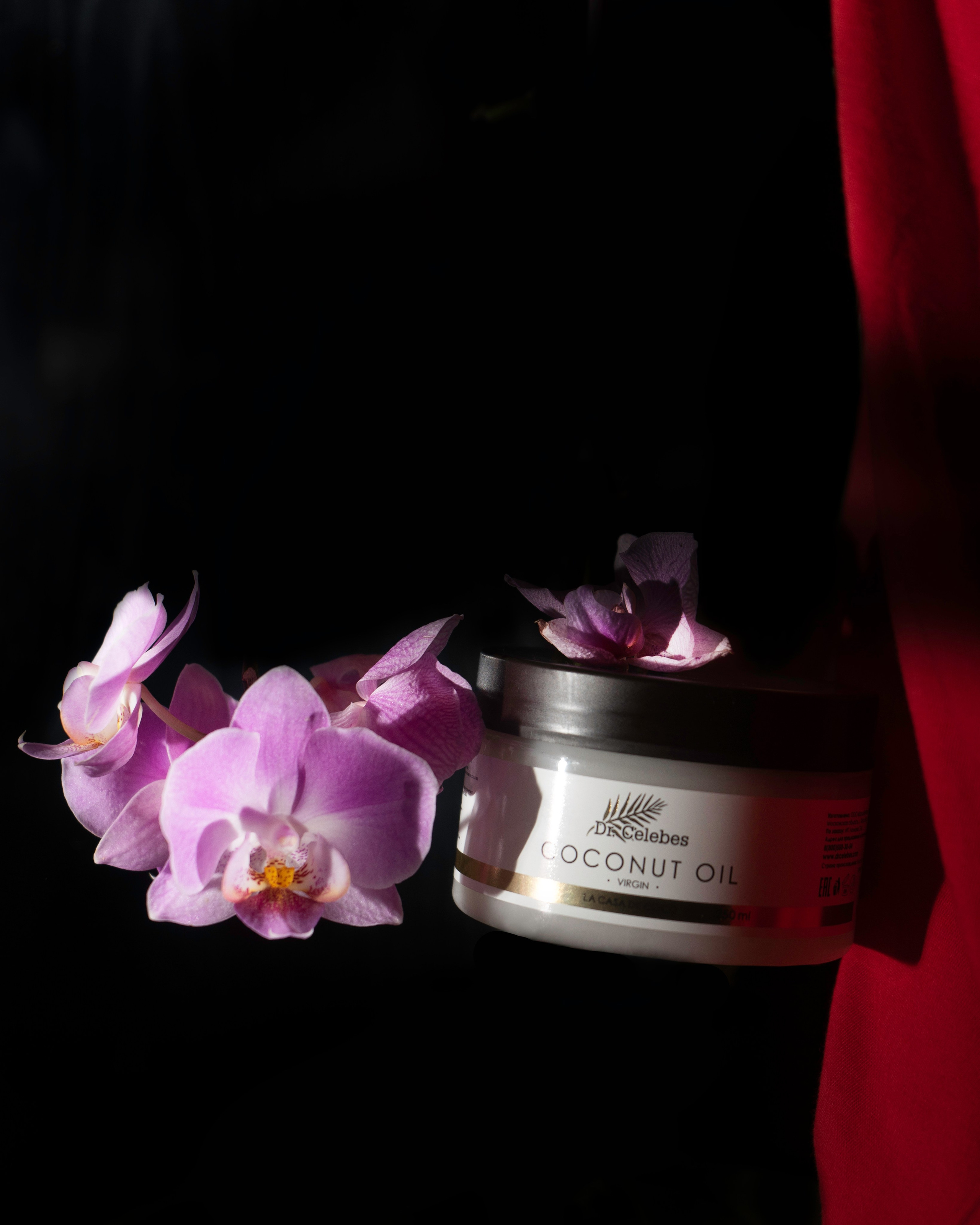 Dr.Celebes. Концептуальный фотограф Шлыкова Ольга