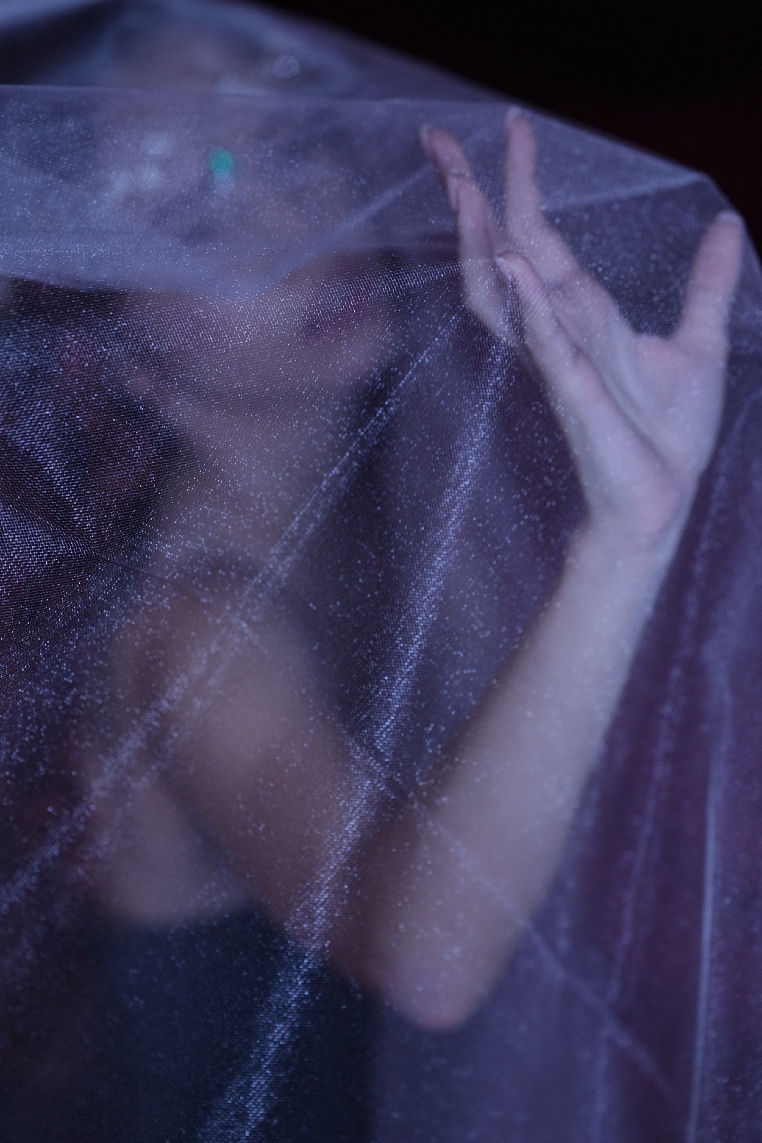 ФОТОФЕСТИВАЛЬ 22/11/2025. СПБНЛО