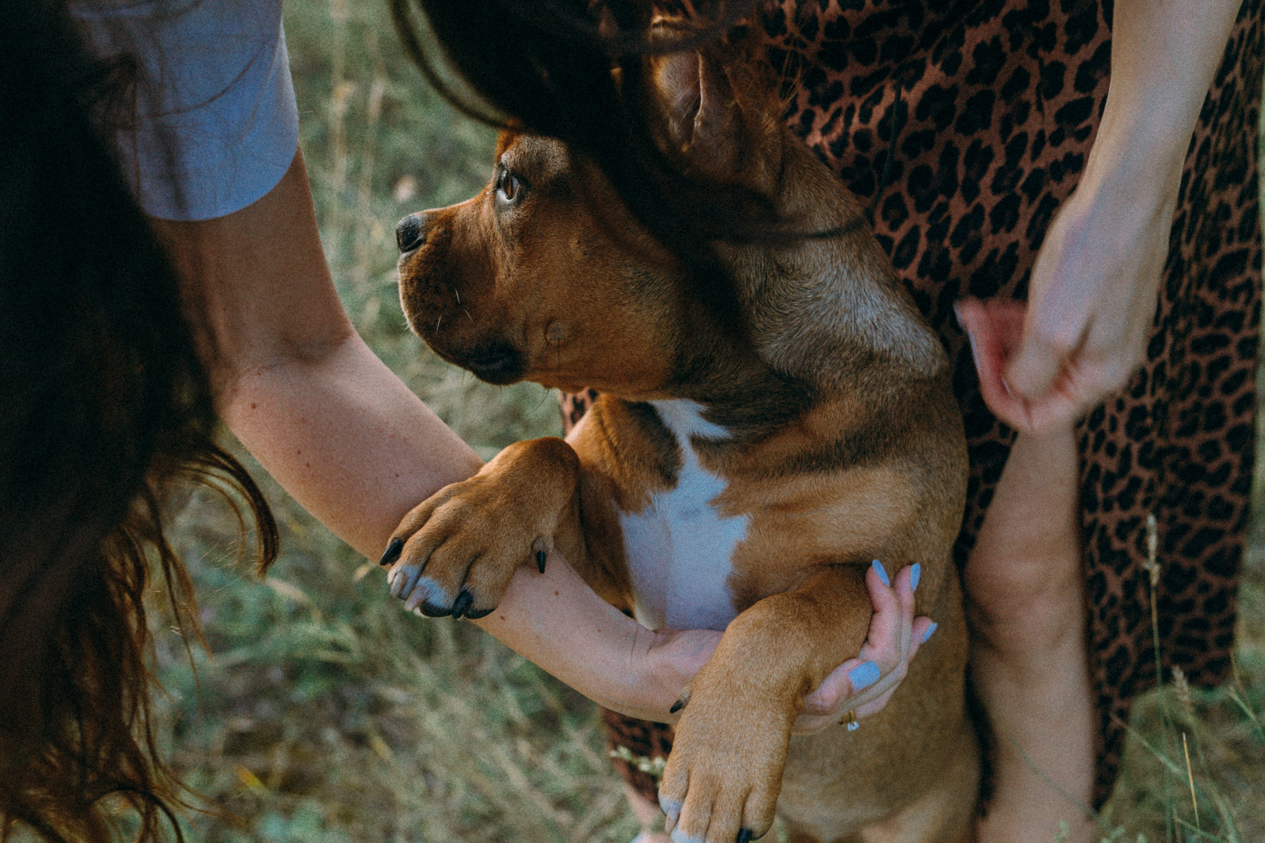 Кристина и Эфи. Фотограф анималист в Москве и Санкт-Петербурге Свиридова Анна