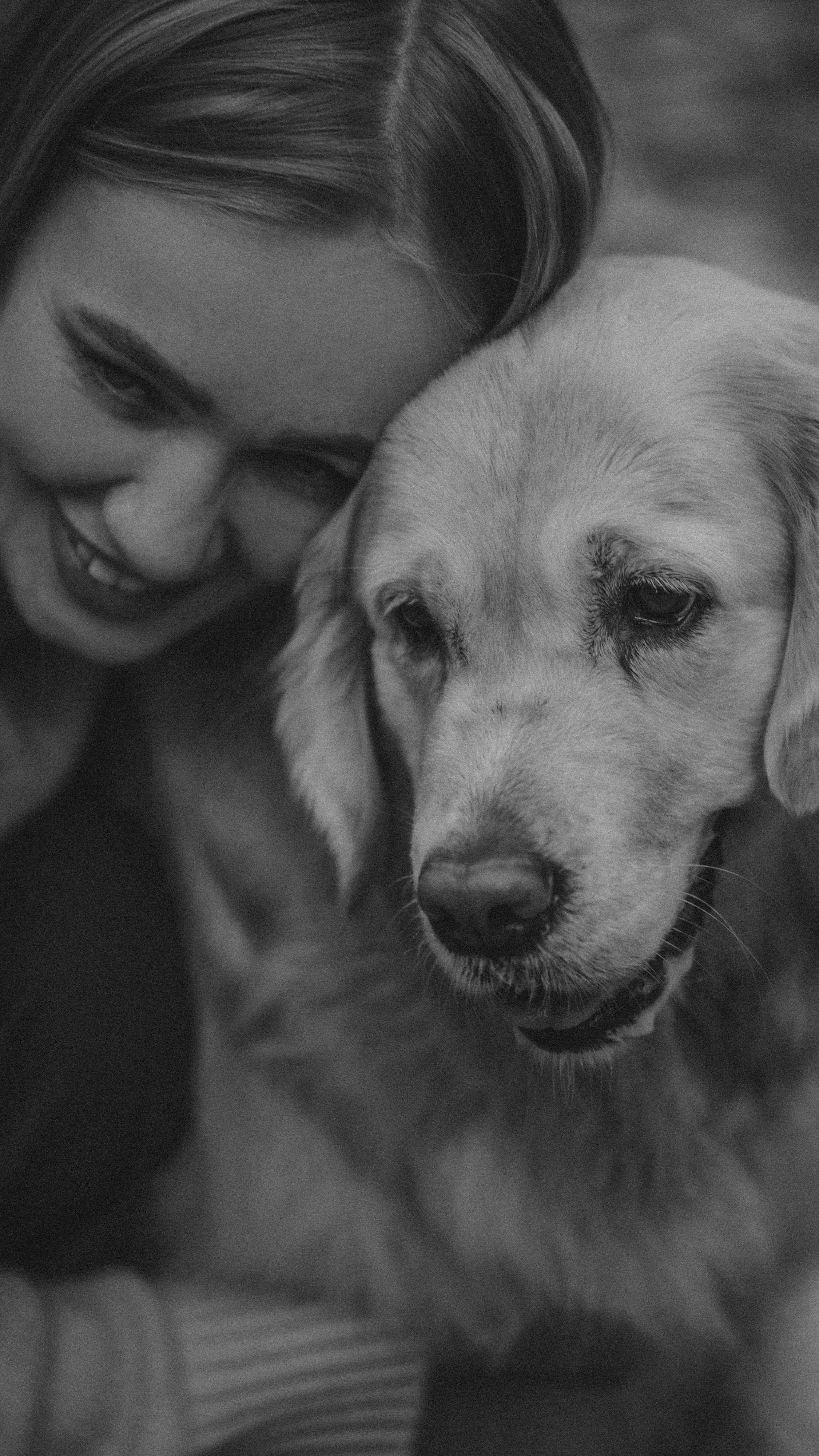 Анастасия и Айза. Фотограф анималист в Москве и Санкт-Петербурге Свиридова Анна