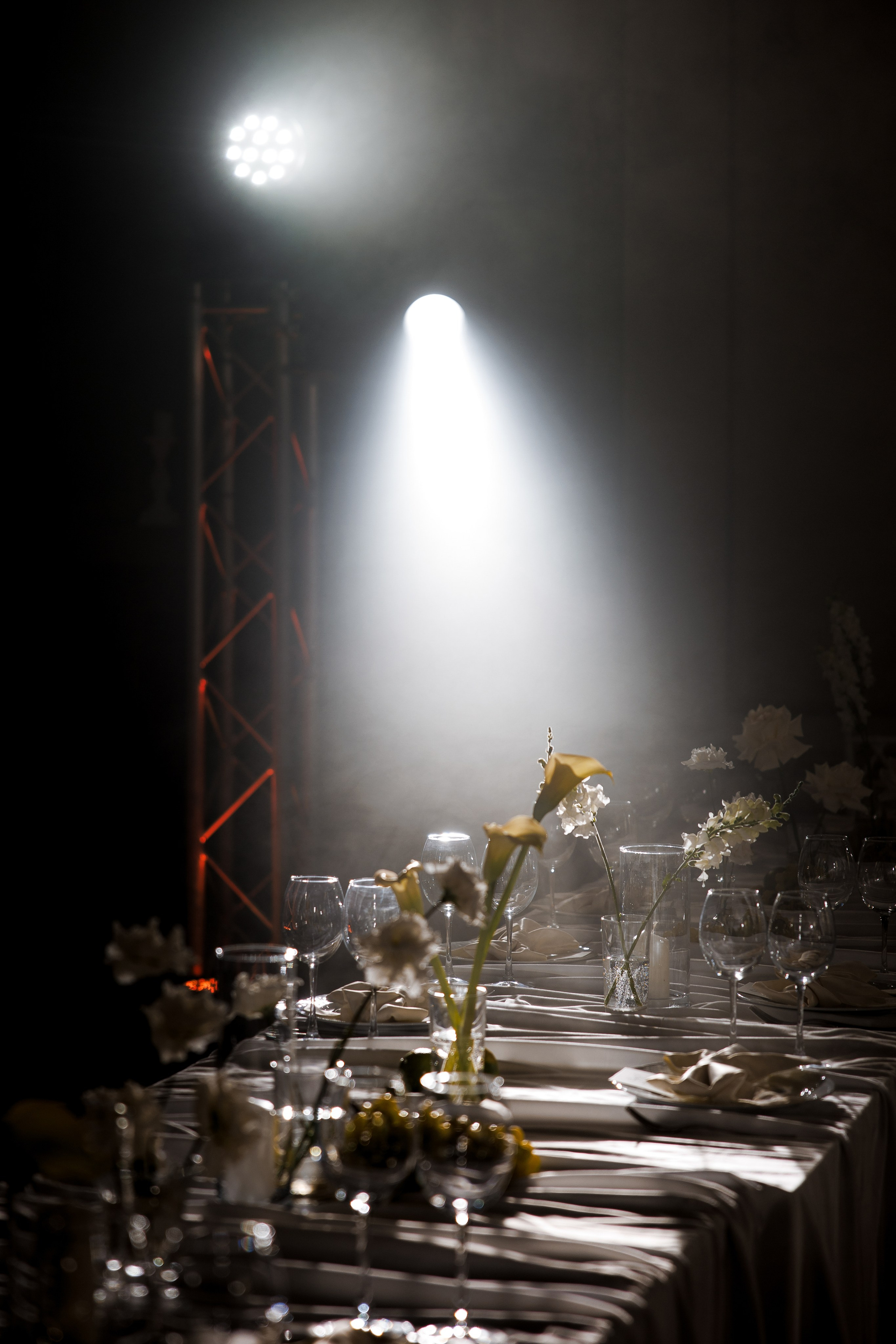 Кирилл & Анастасия. Организатор- Елена Гаманович. Главная