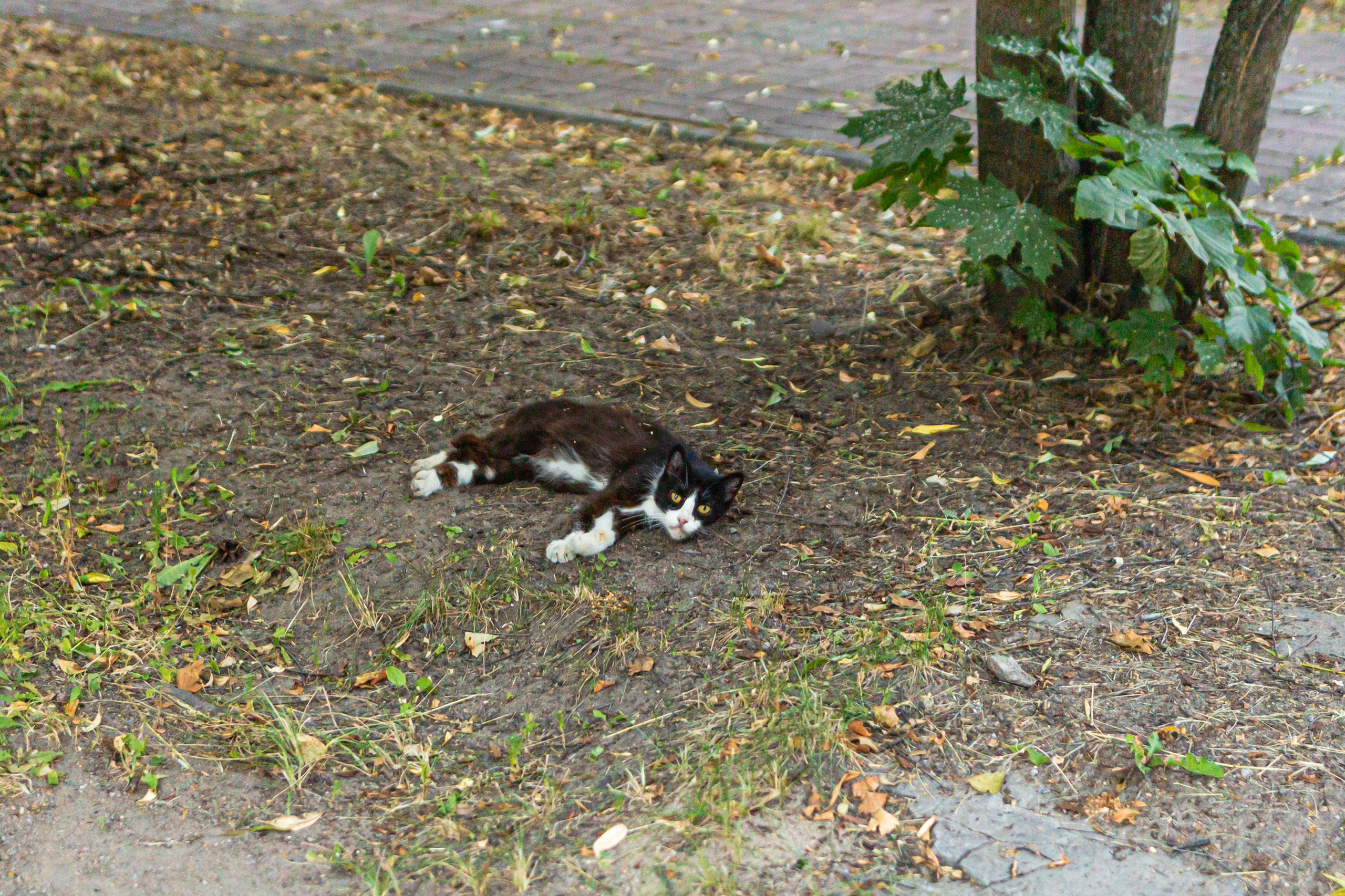 Приозерск. Фотограф в Санкт-Петербурге Чумаков Семен