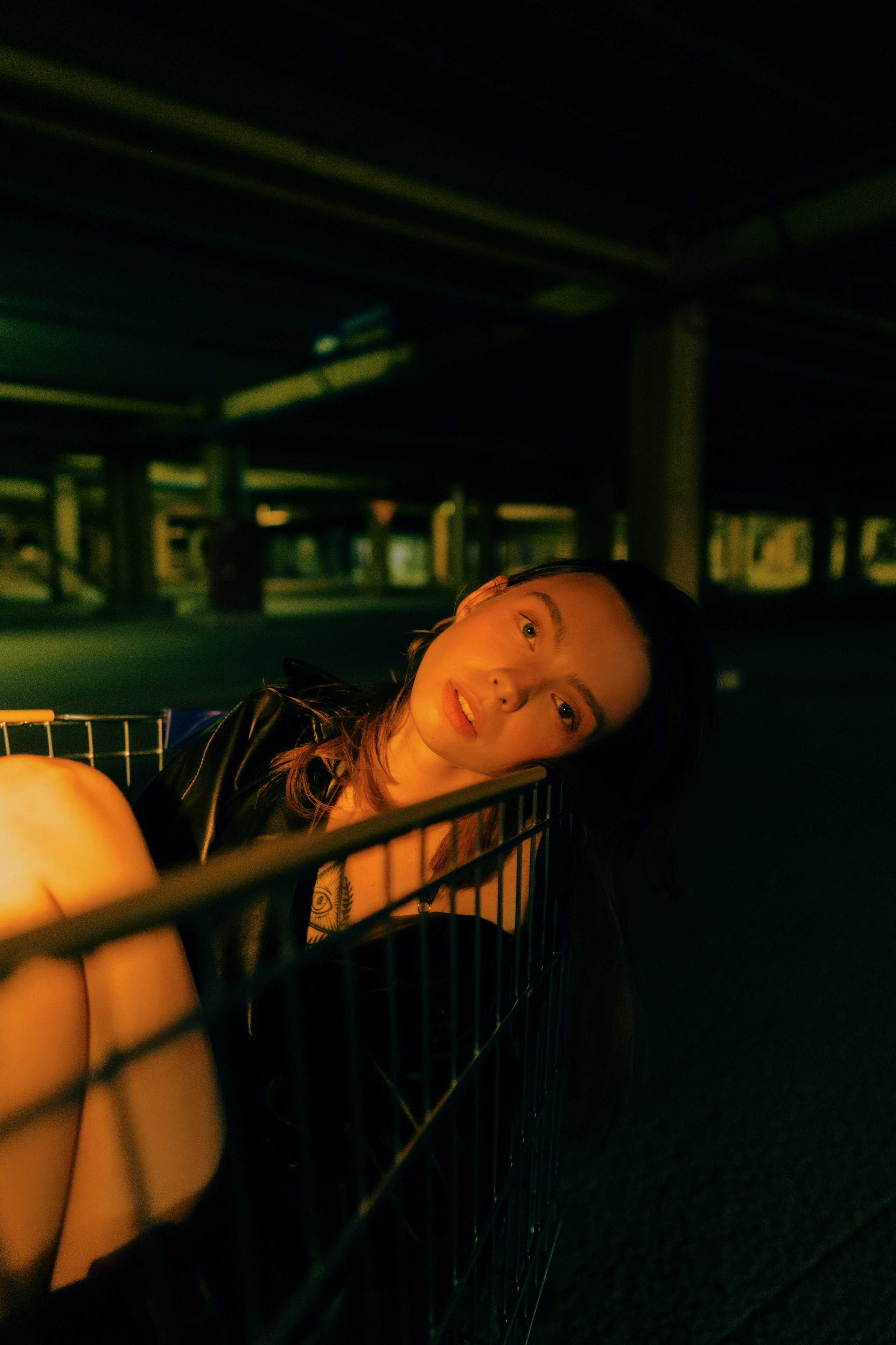 Анастасия. Дмитрий Пропадалин, Нейрофотография