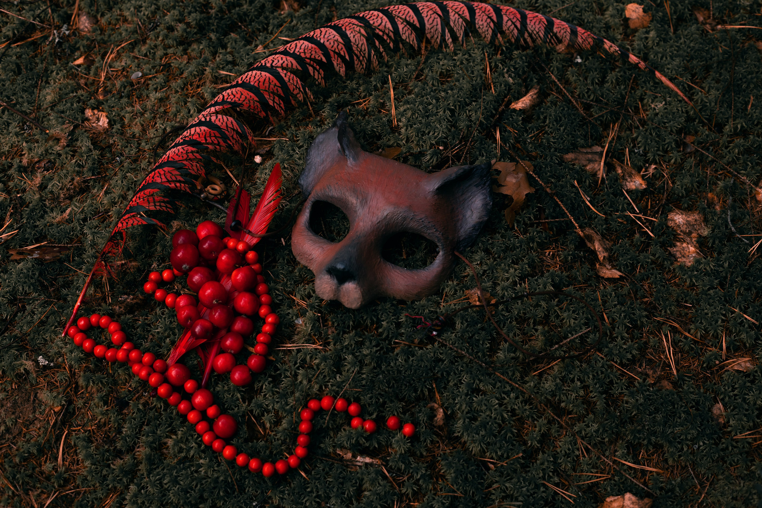 Огненная Лисица