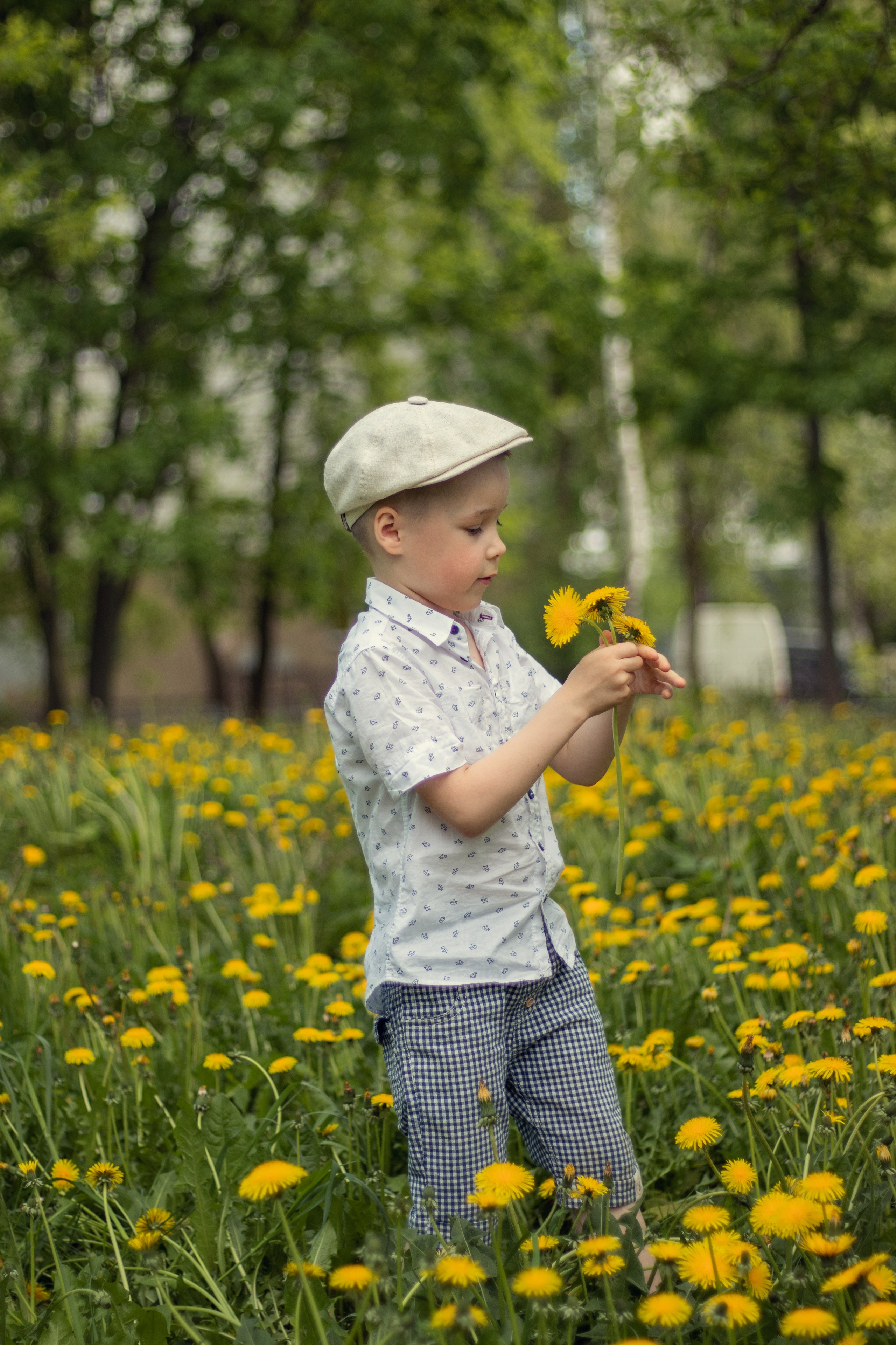 Одуванчиковое настроение
