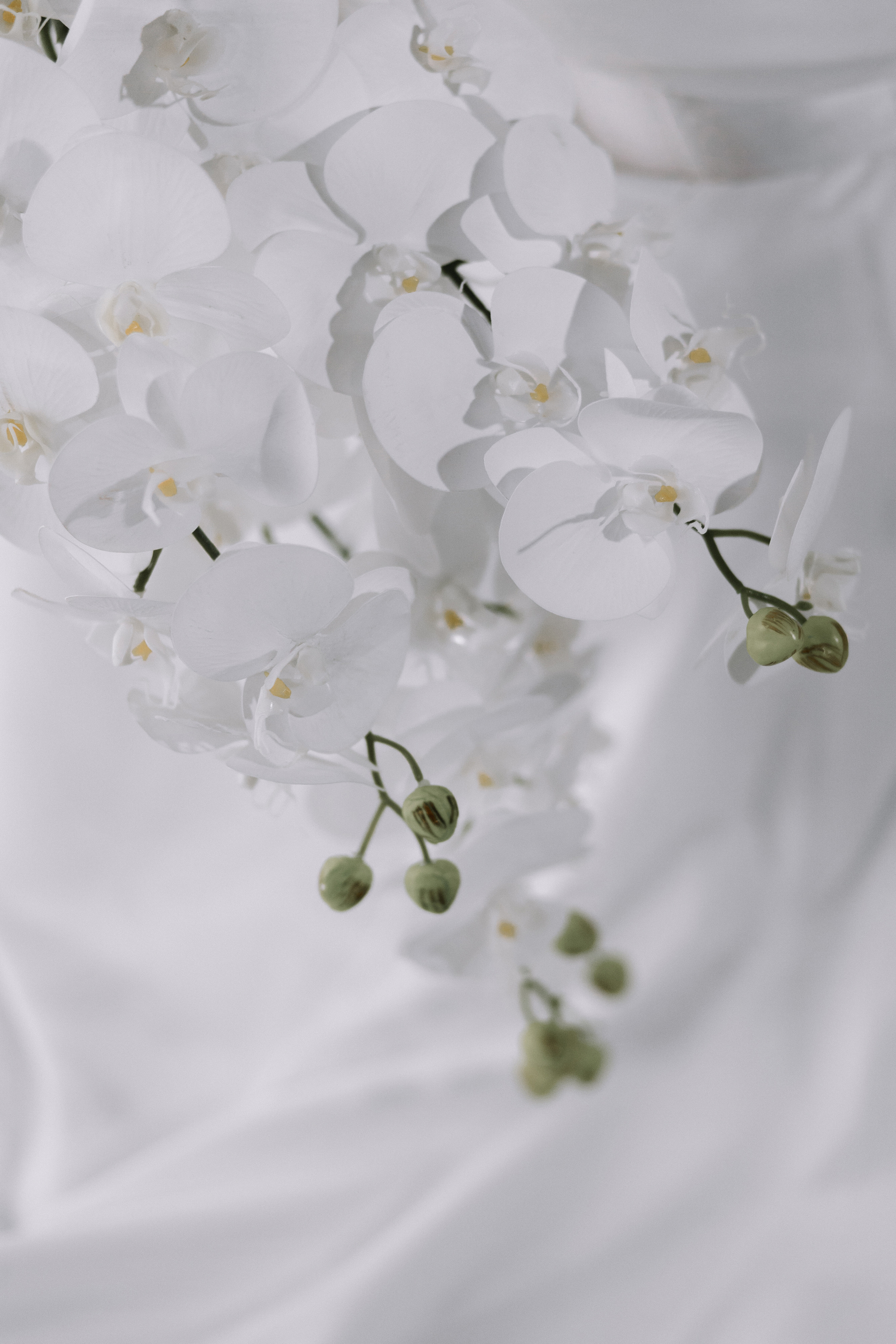 Парашют. Фотограф Елена Краснопевцева