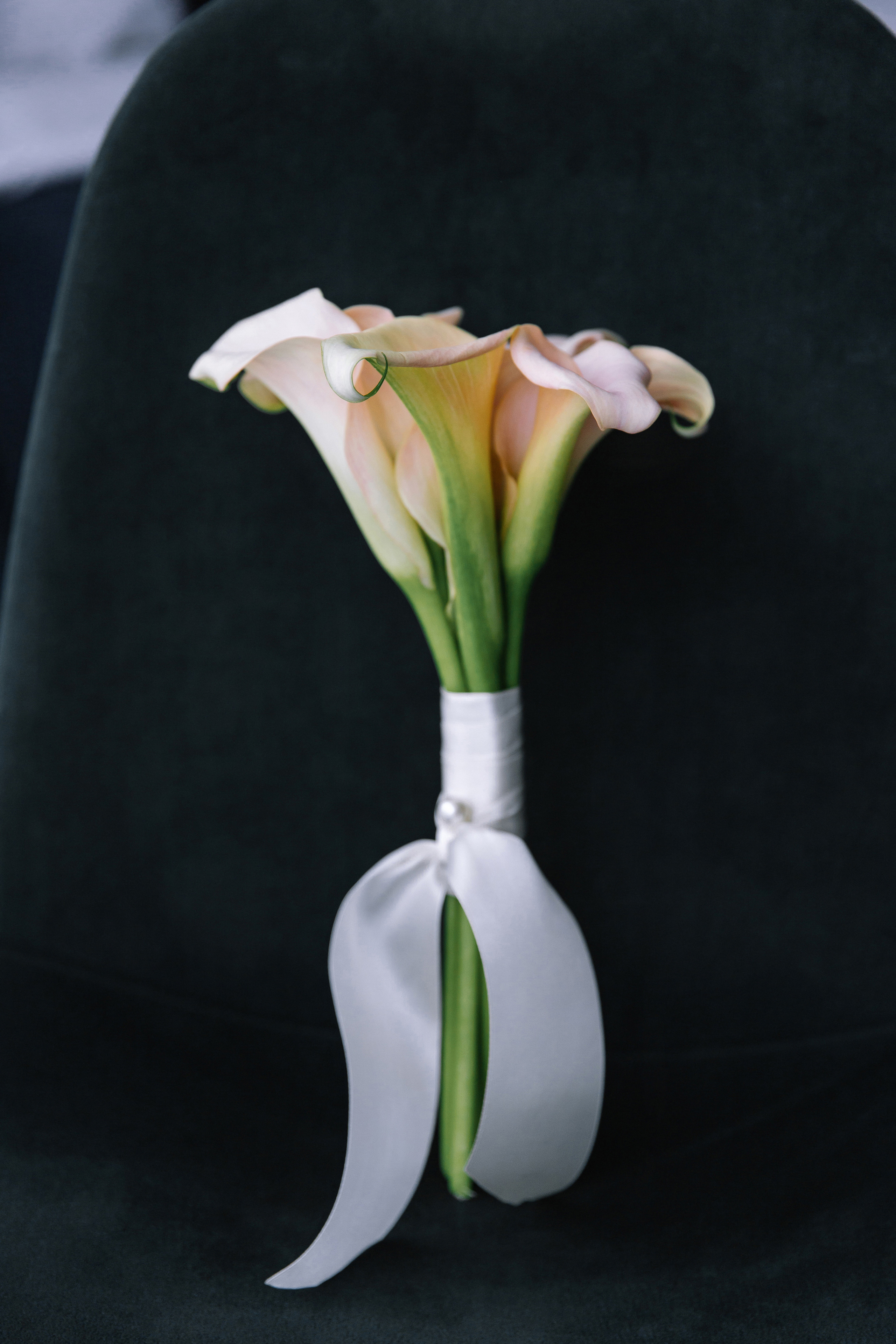 Наедине. Фотограф Елена Краснопевцева