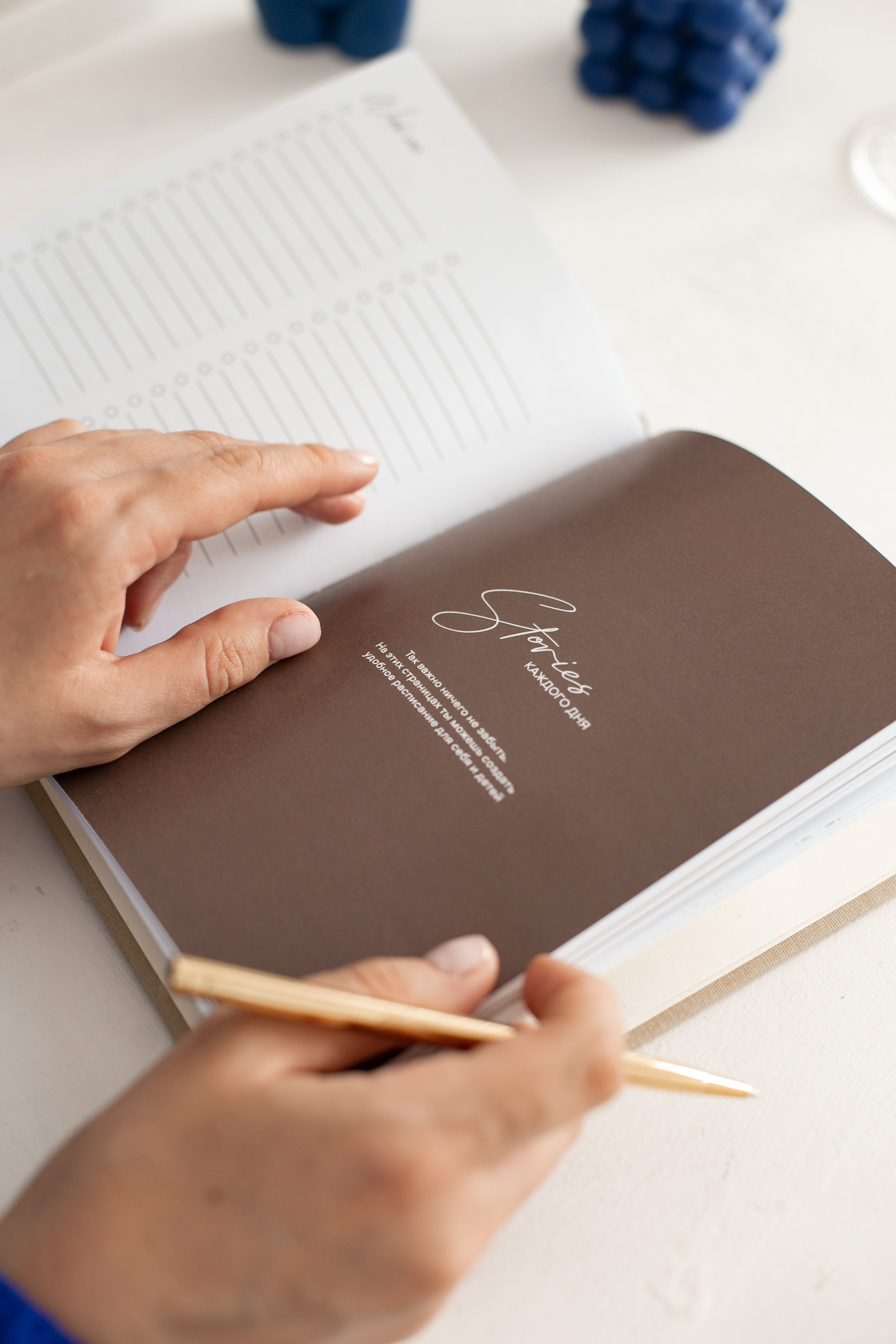 Ежедневник Stories. Фотограф Шевчик Виктория