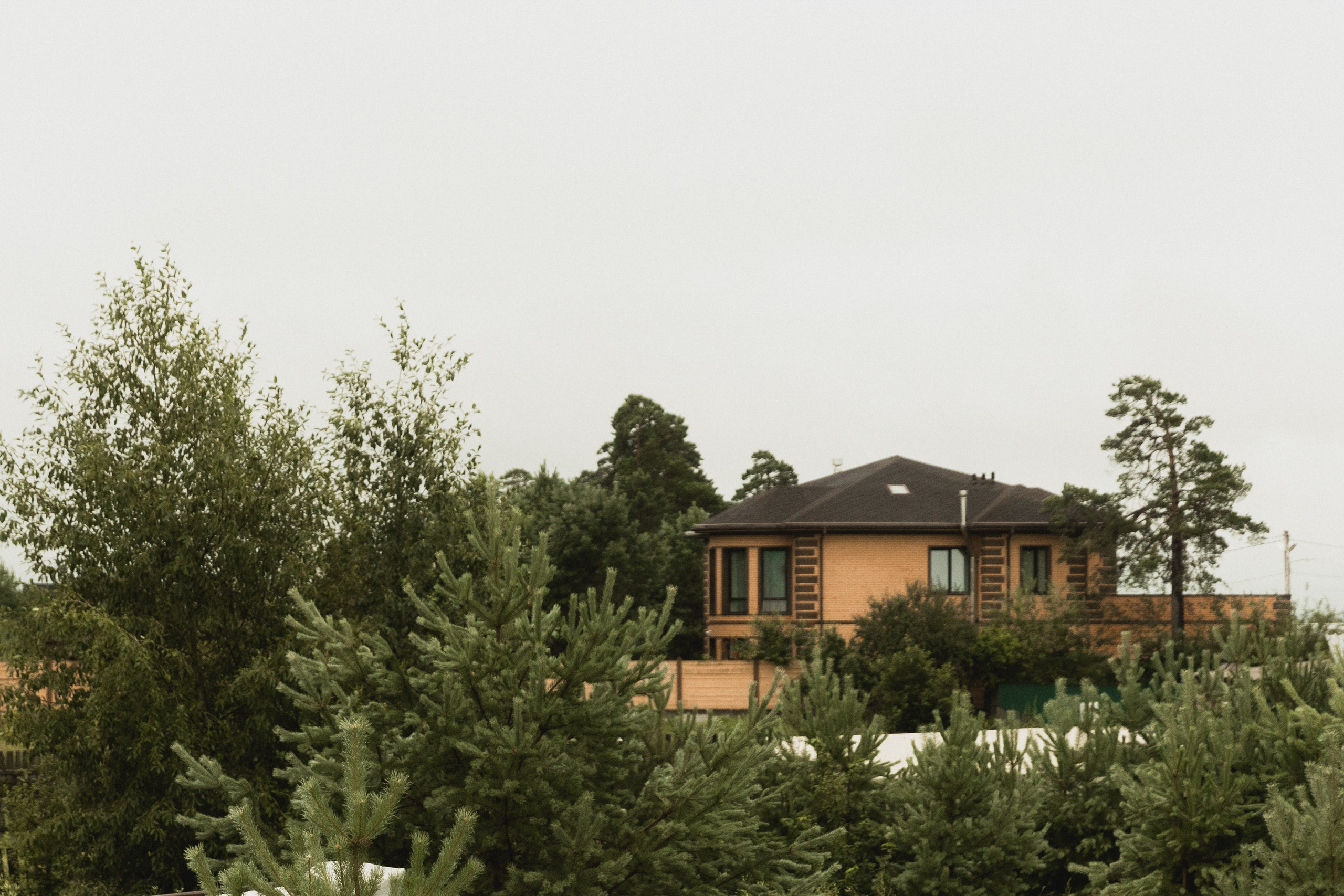 Оксана и Артем. Семейный и свадебный фотограф Лилия Матонина | Ангарск, Иркутск, Усолье-Сибирское, Байкал (Листвянка, Ольхон), Иркутская область