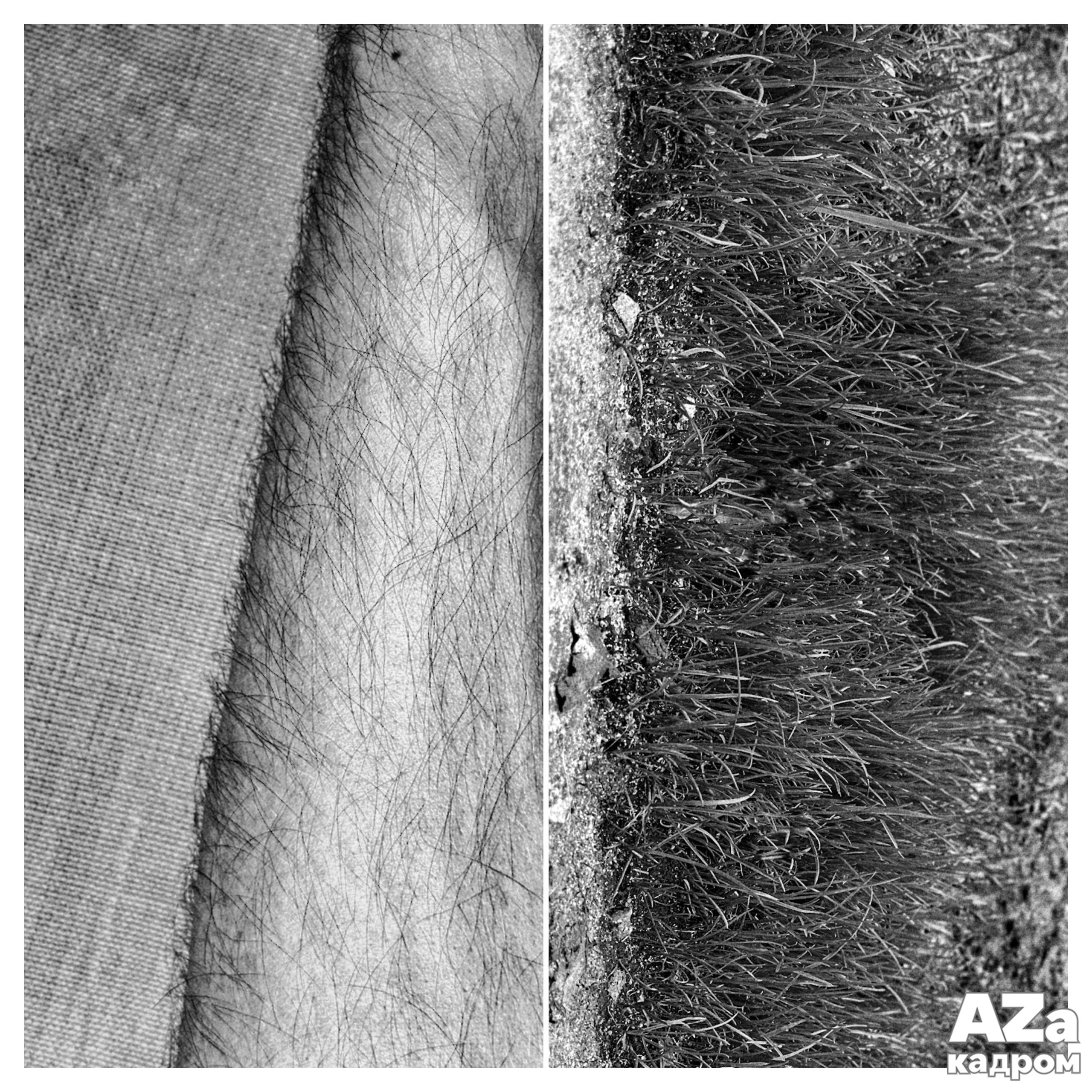 AZакадром «Фотофанты». Женский семейный фотограф Тула Москва Захарова Анна