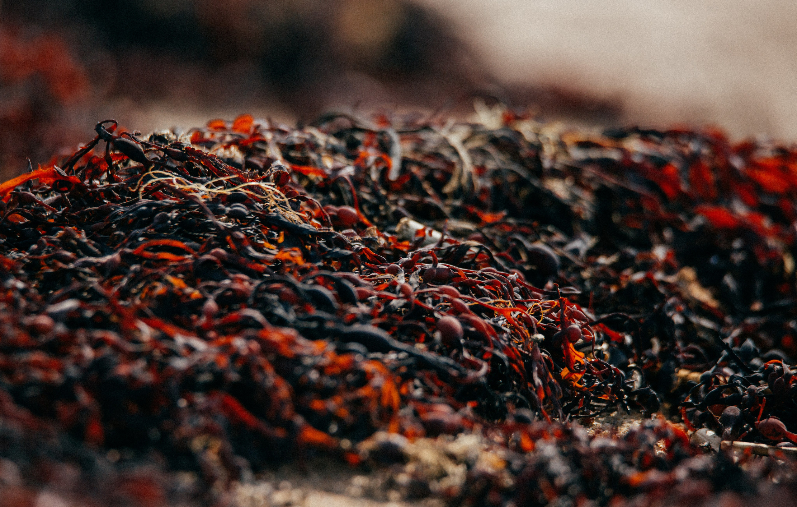 ЭТНОПАРК ГЕОГРАФИКА. Создание контента | Фото | Видеосъемка | Александр Ярков