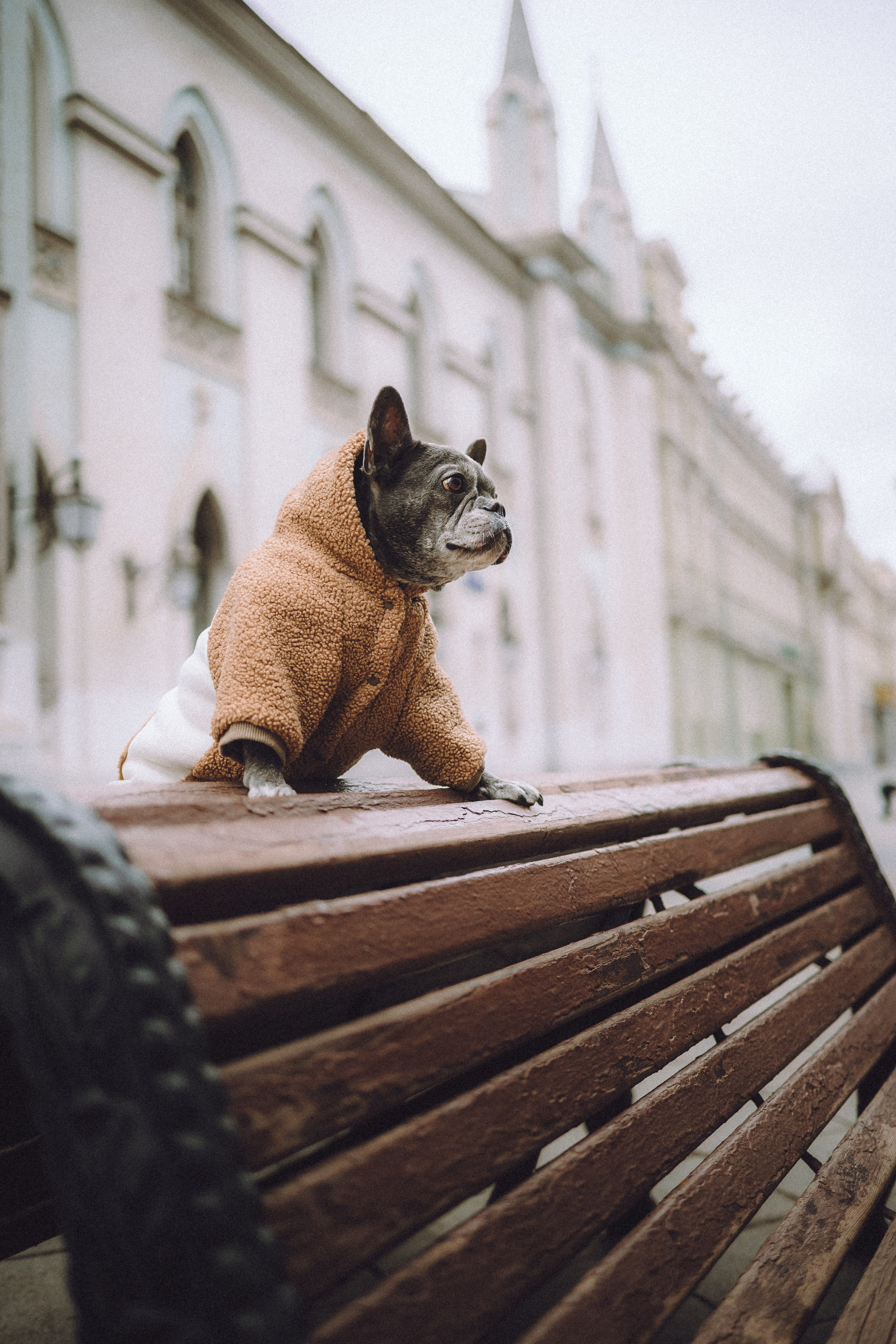 Юля, Вова и Моня