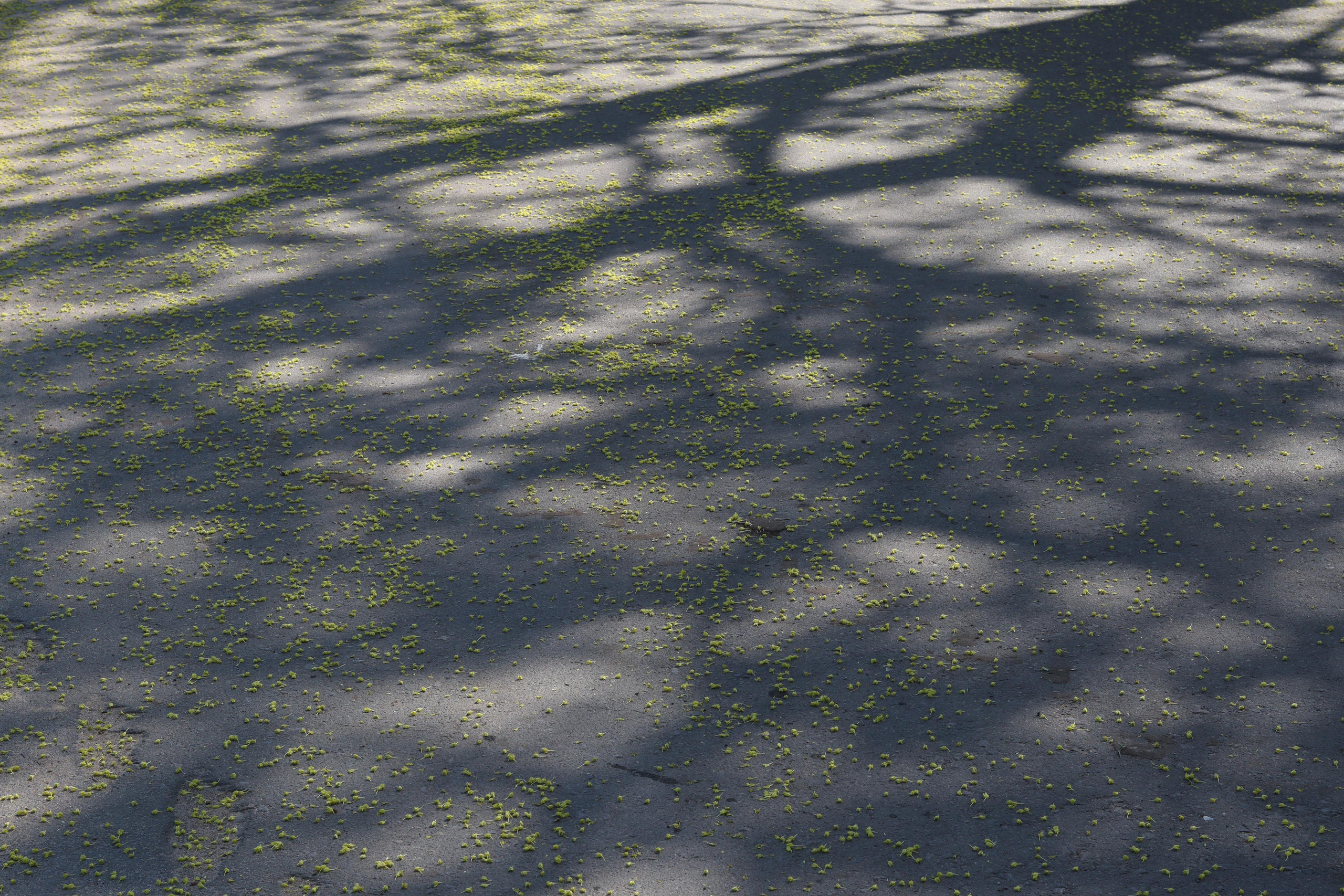 Около меня. Documentary photographer Anton Zdanovich