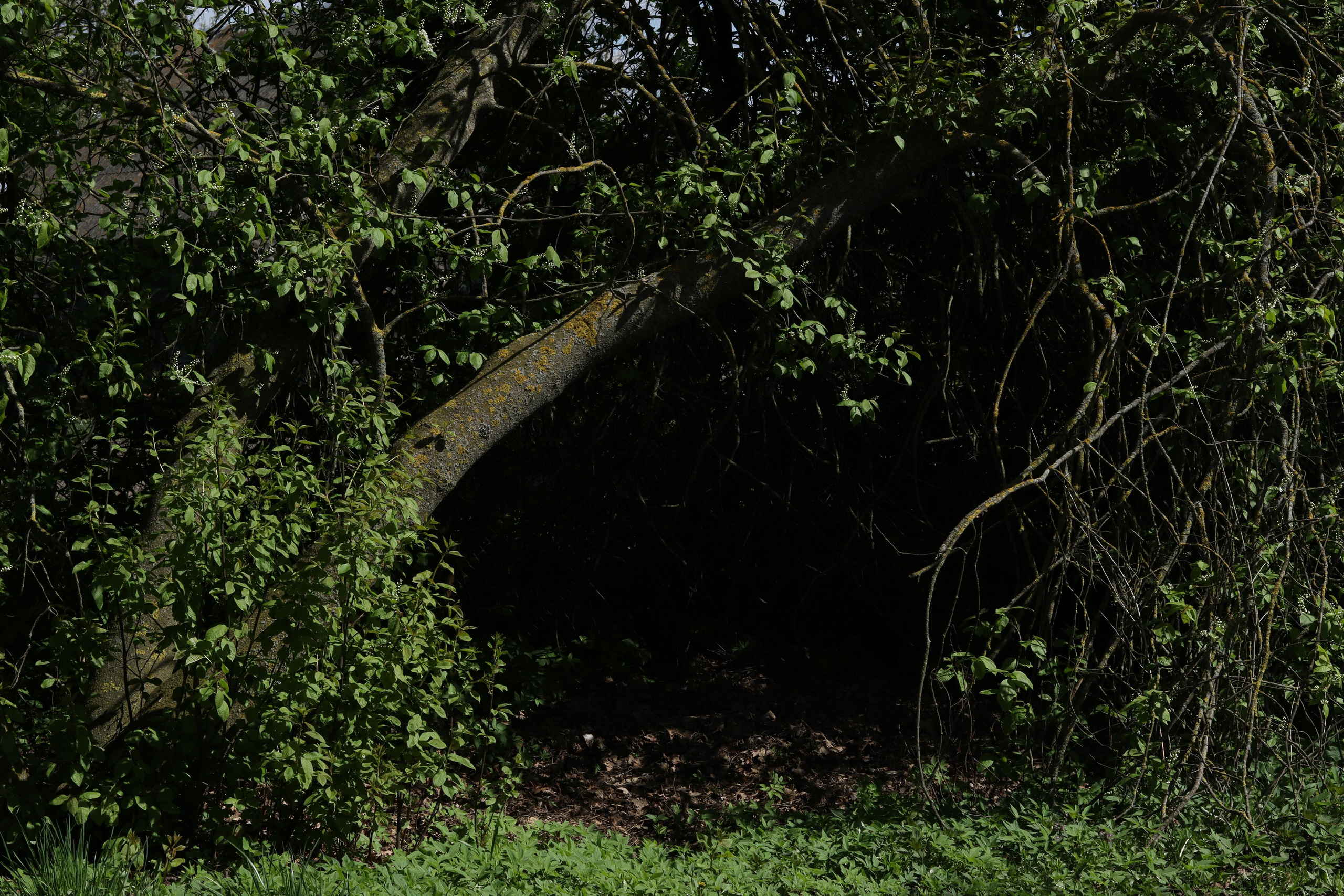 Около меня. Documentary photographer Anton Zdanovich