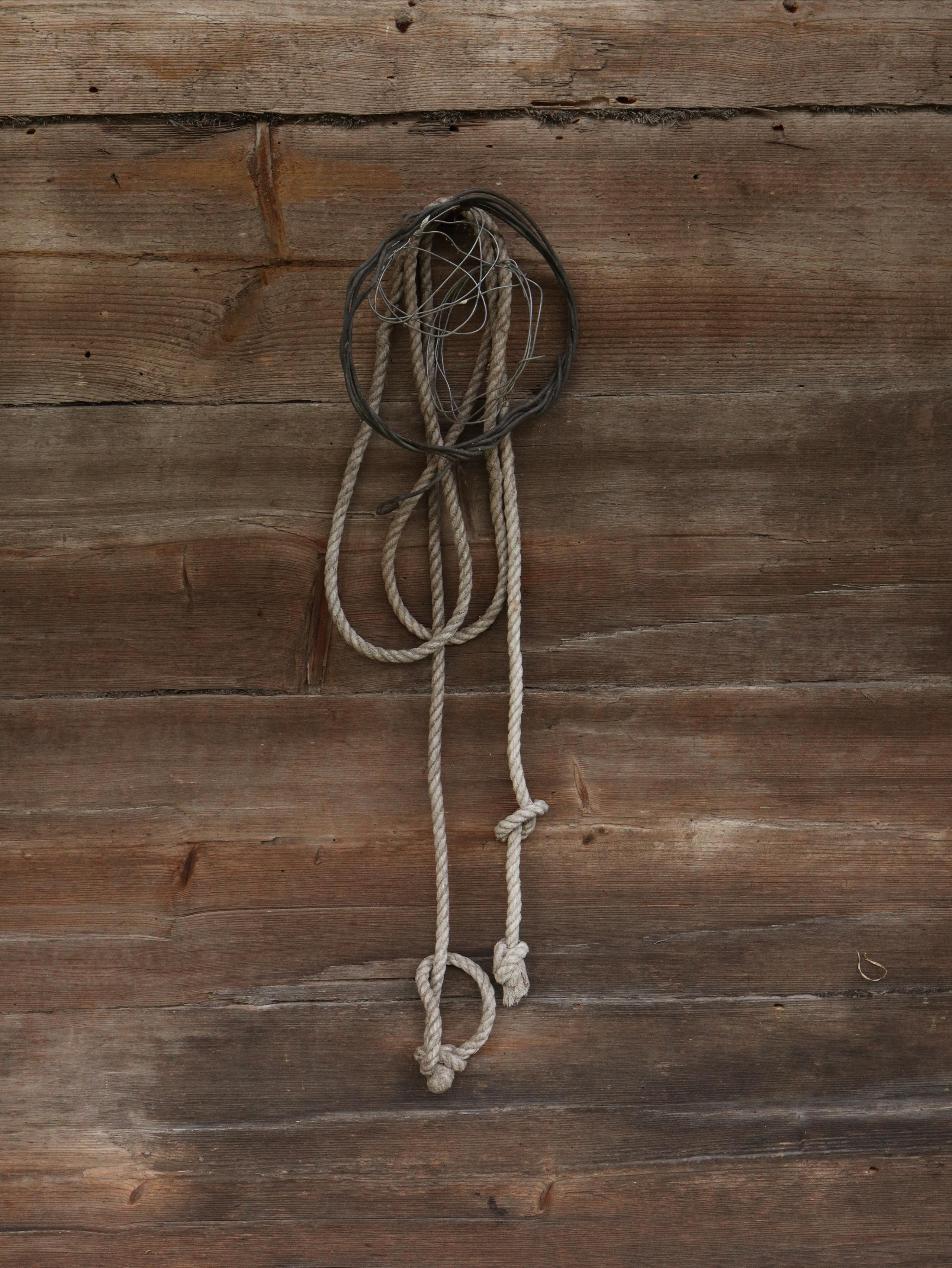 Около меня. Documentary photographer Anton Zdanovich